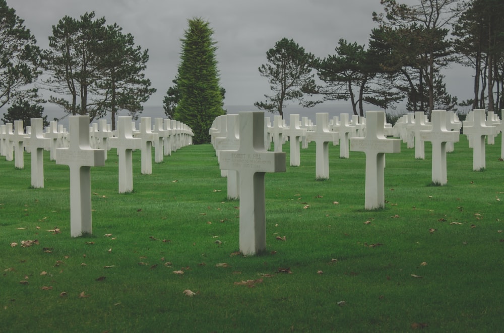 a field full of white crosses sitting on top of a lush green field