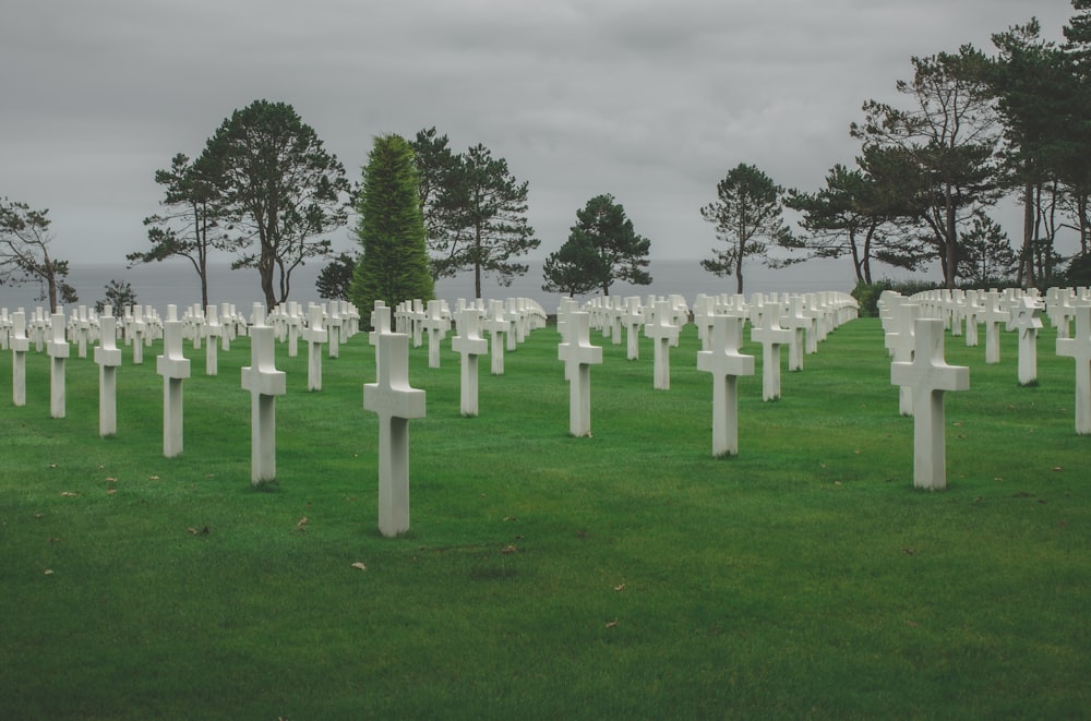 a field full of white crosses in the grass