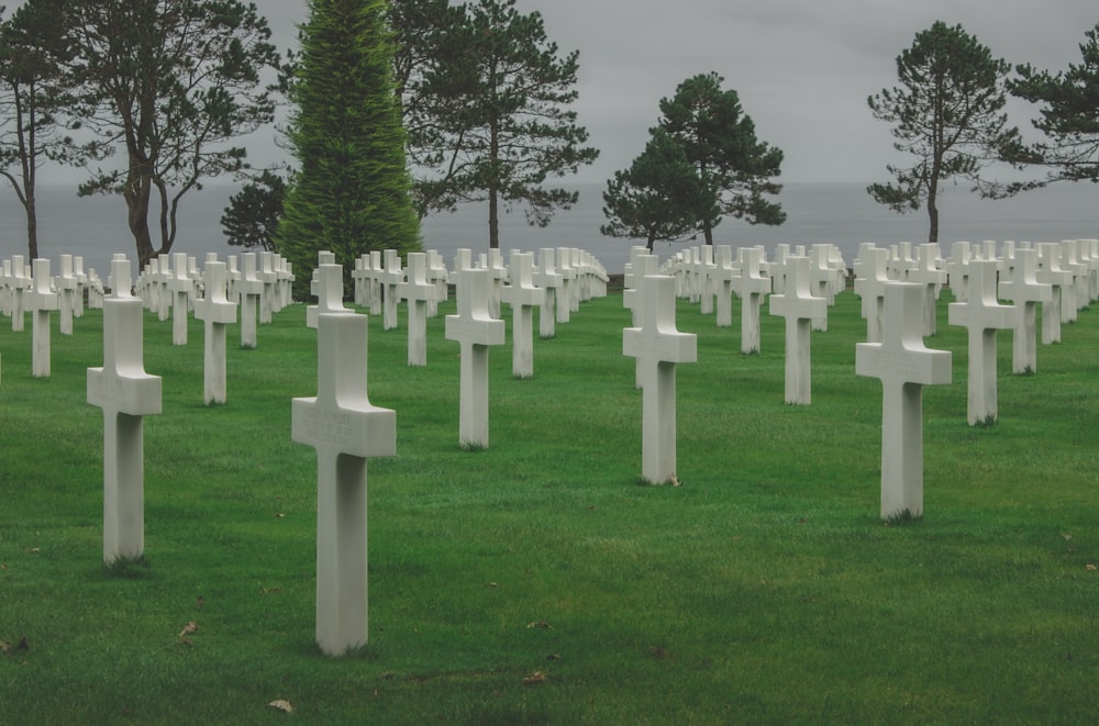 a field full of white crosses in the grass