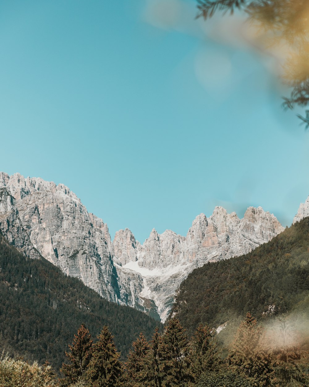 a view of a mountain range with trees in the foreground