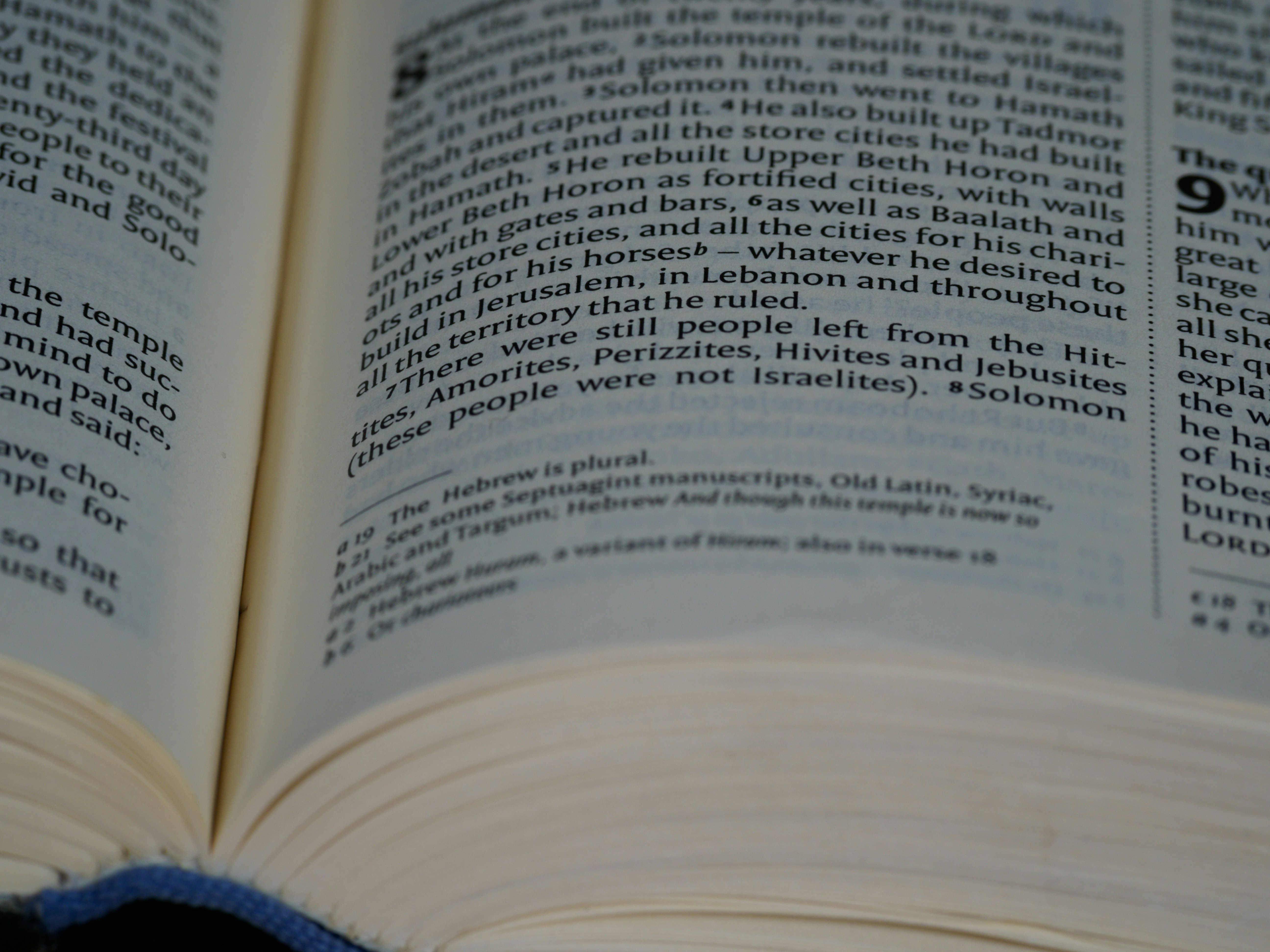 Photo by brett_jordan