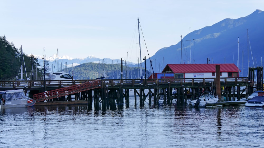 a dock with several boats docked at it