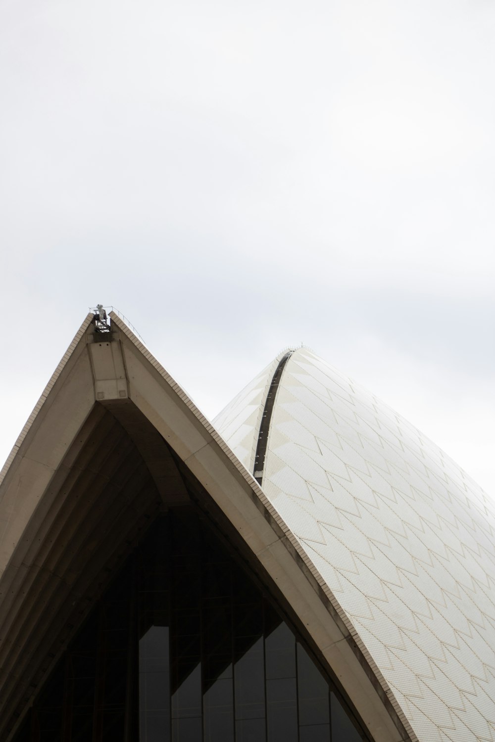 a bird is perched on the top of a building