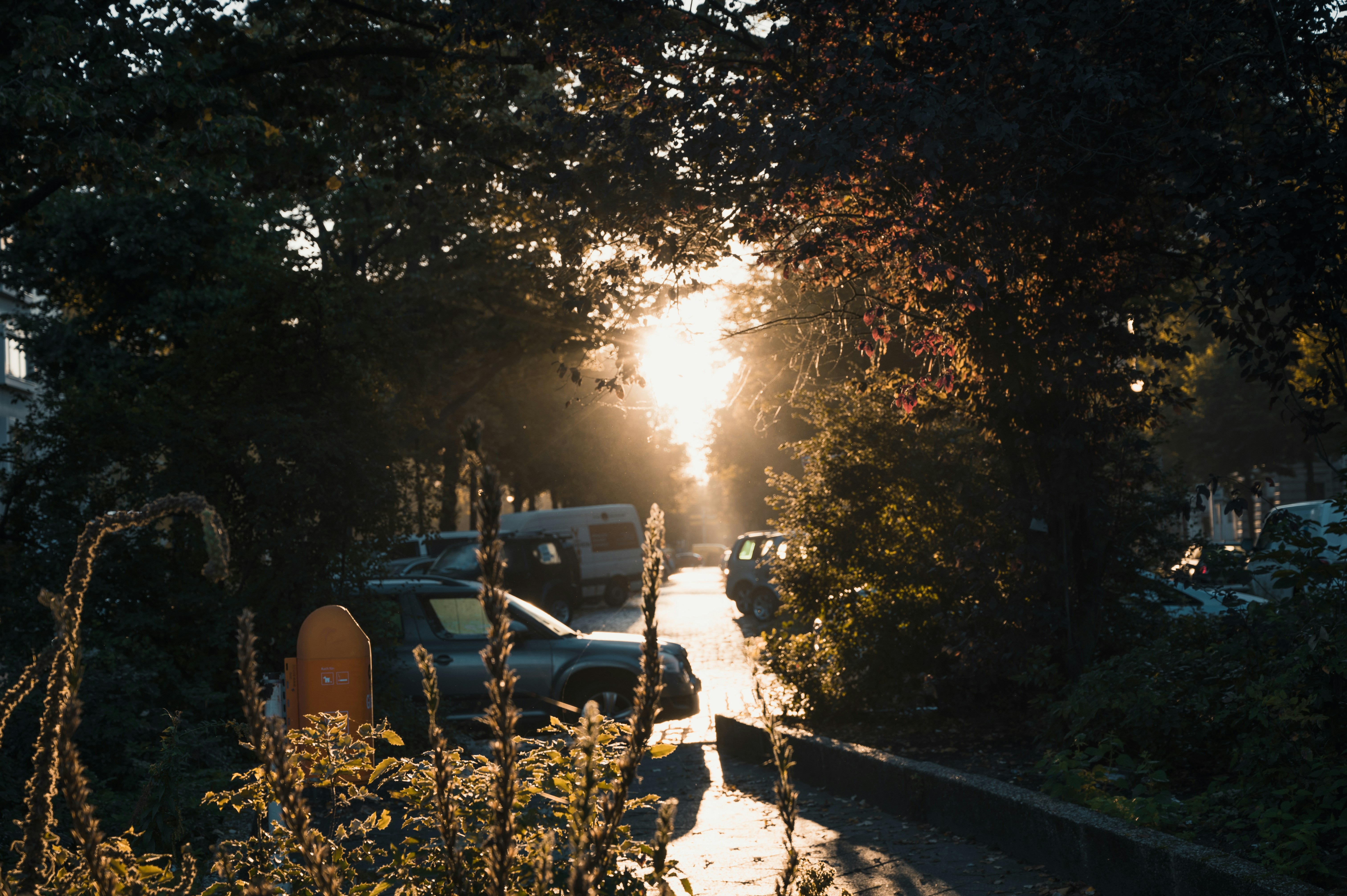 Photo by luca_severin