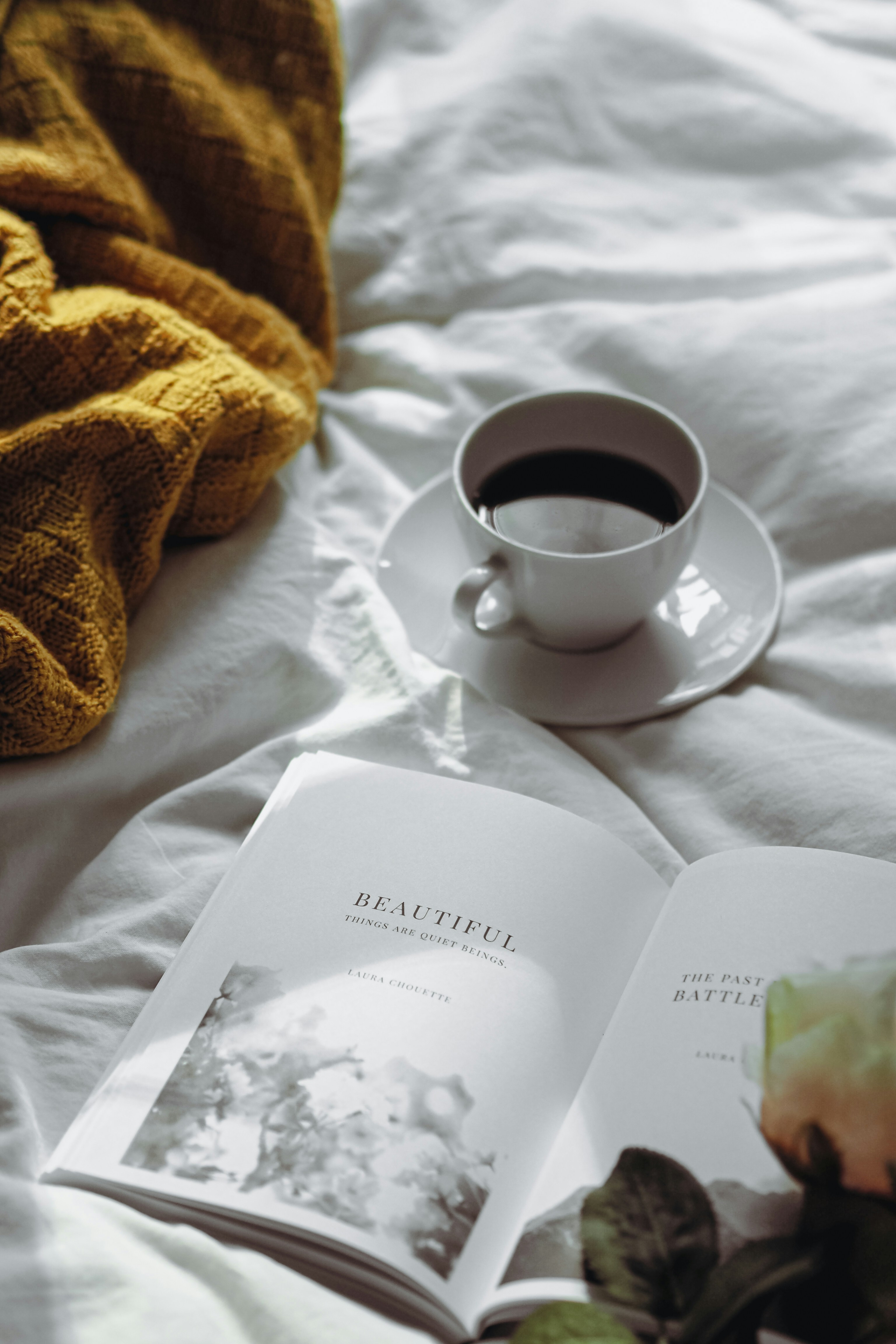 Photo by laurachouette