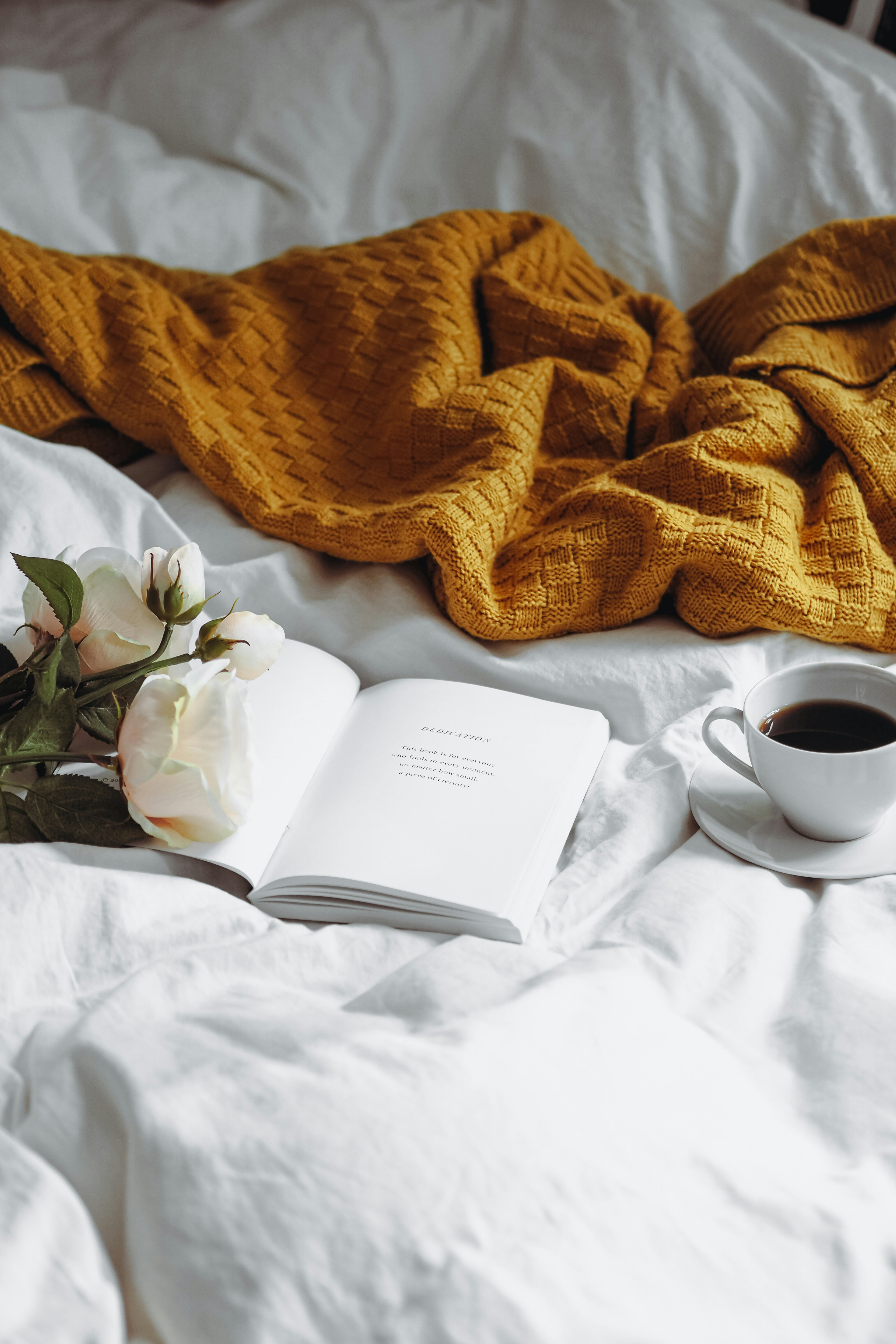 Photo by laurachouette