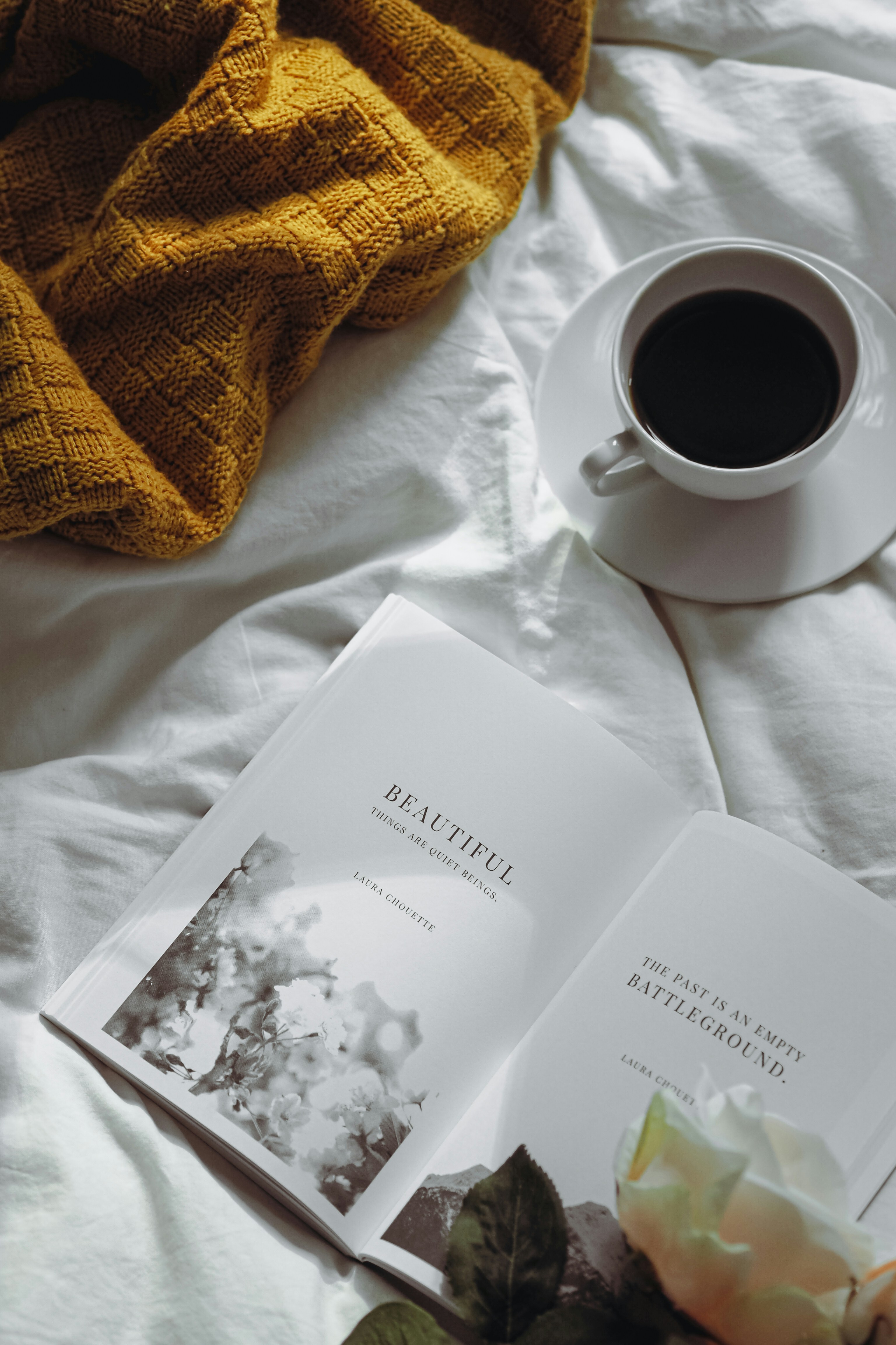 Photo by laurachouette