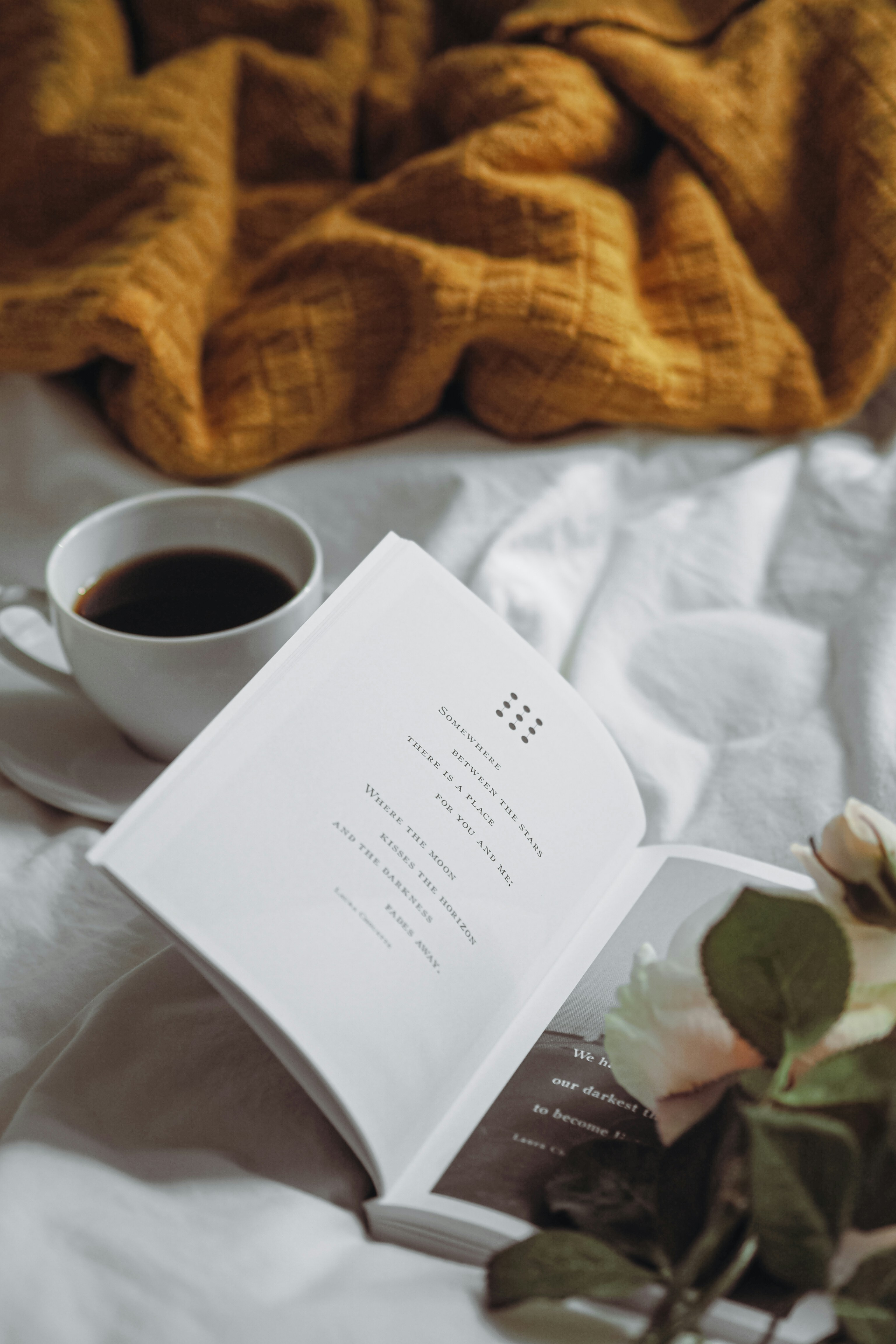 Photo by laurachouette