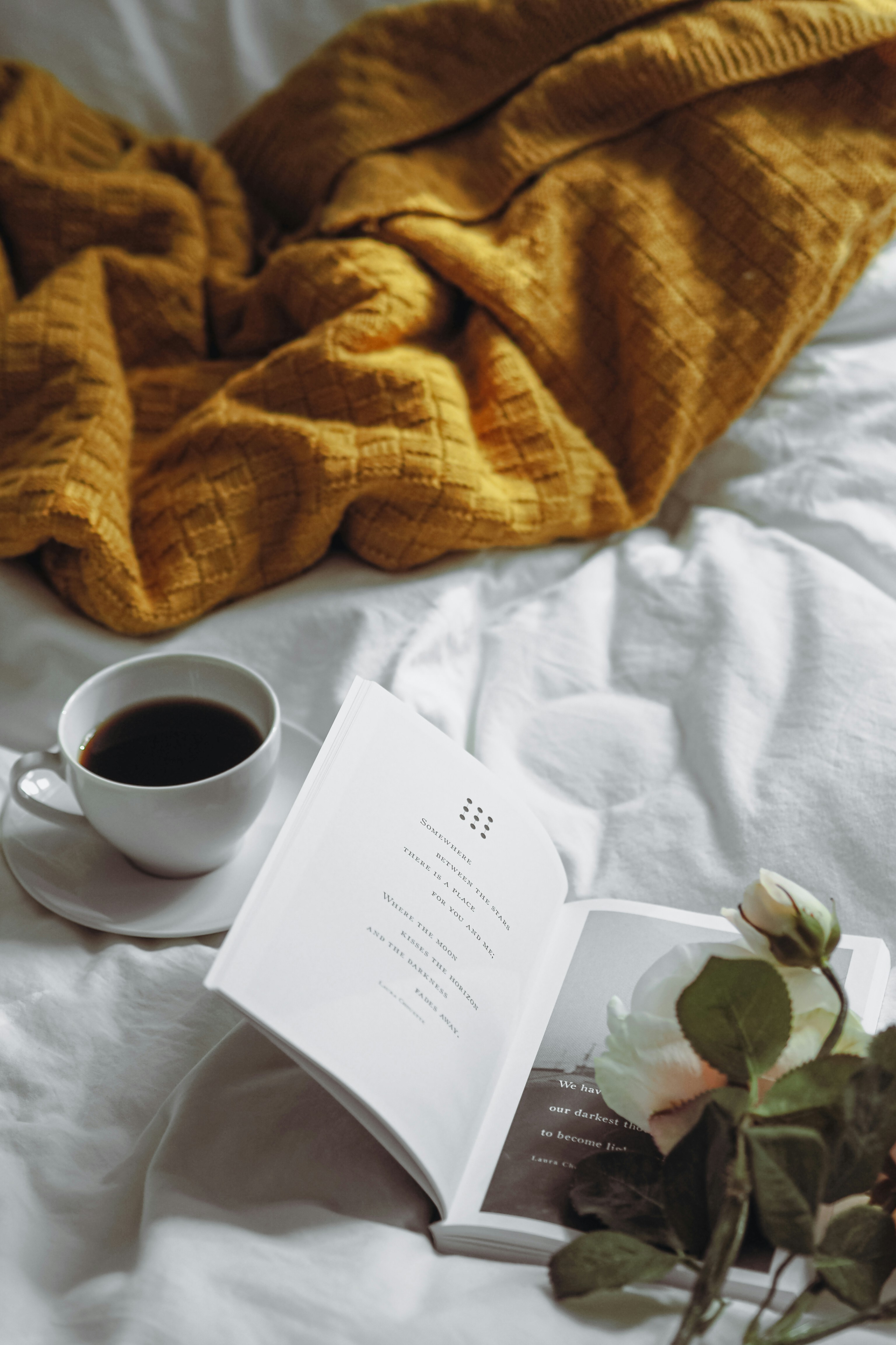 Photo by laurachouette