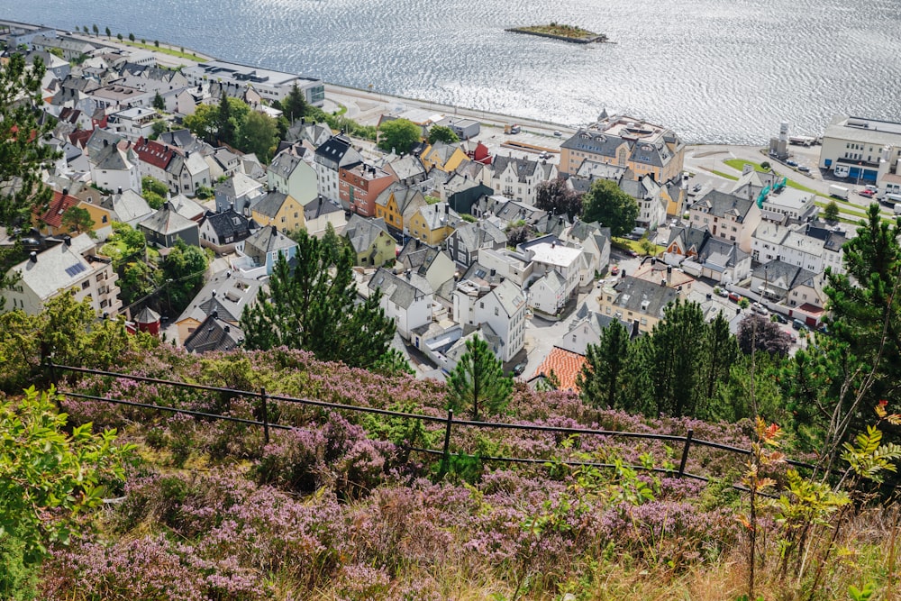 a view of a town with a body of water in the background