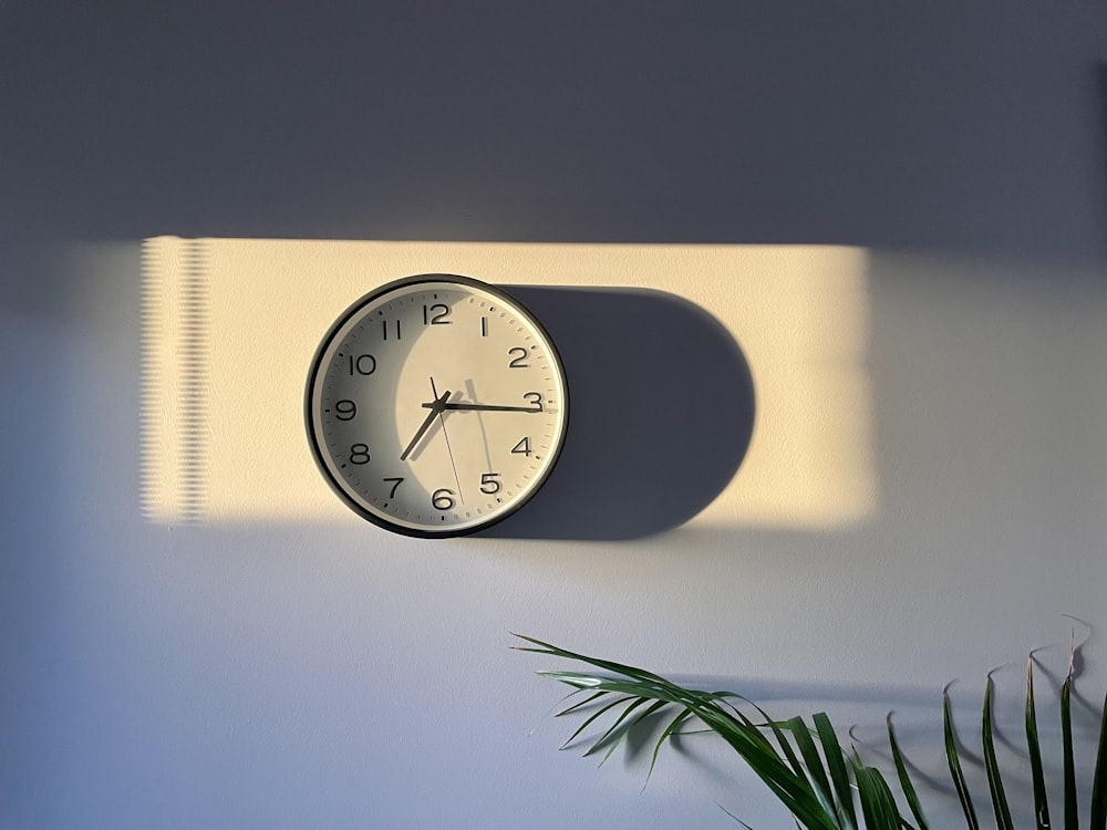 a clock on a wall with a plant next to it
