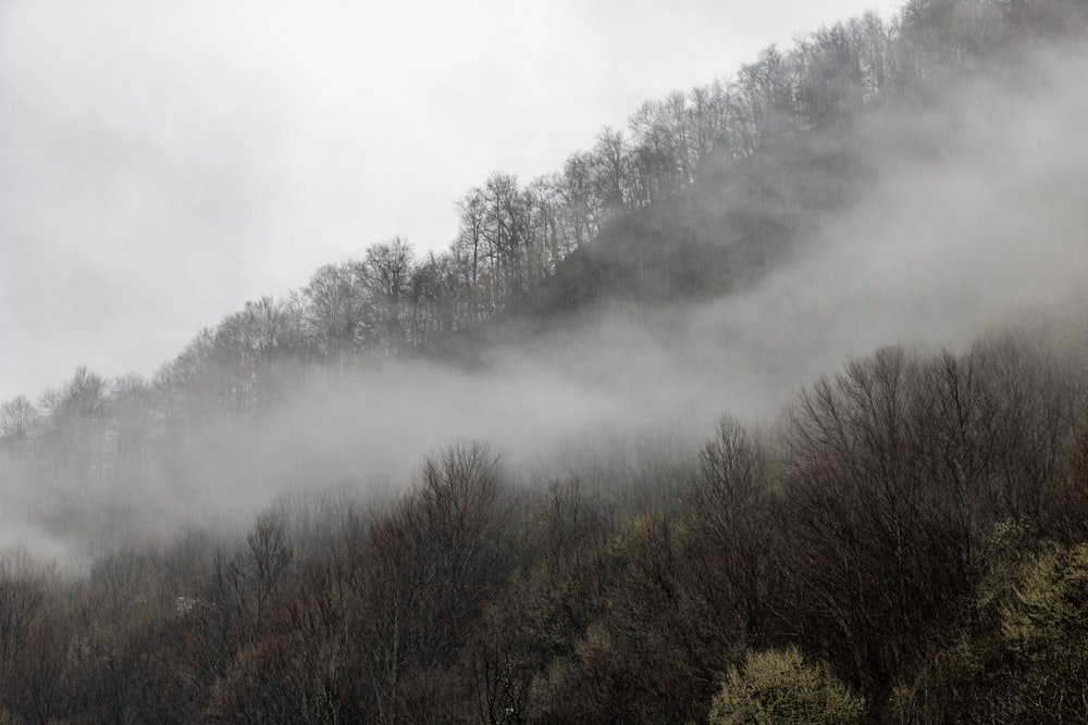 a mountain covered in mist and trees on a cloudy day