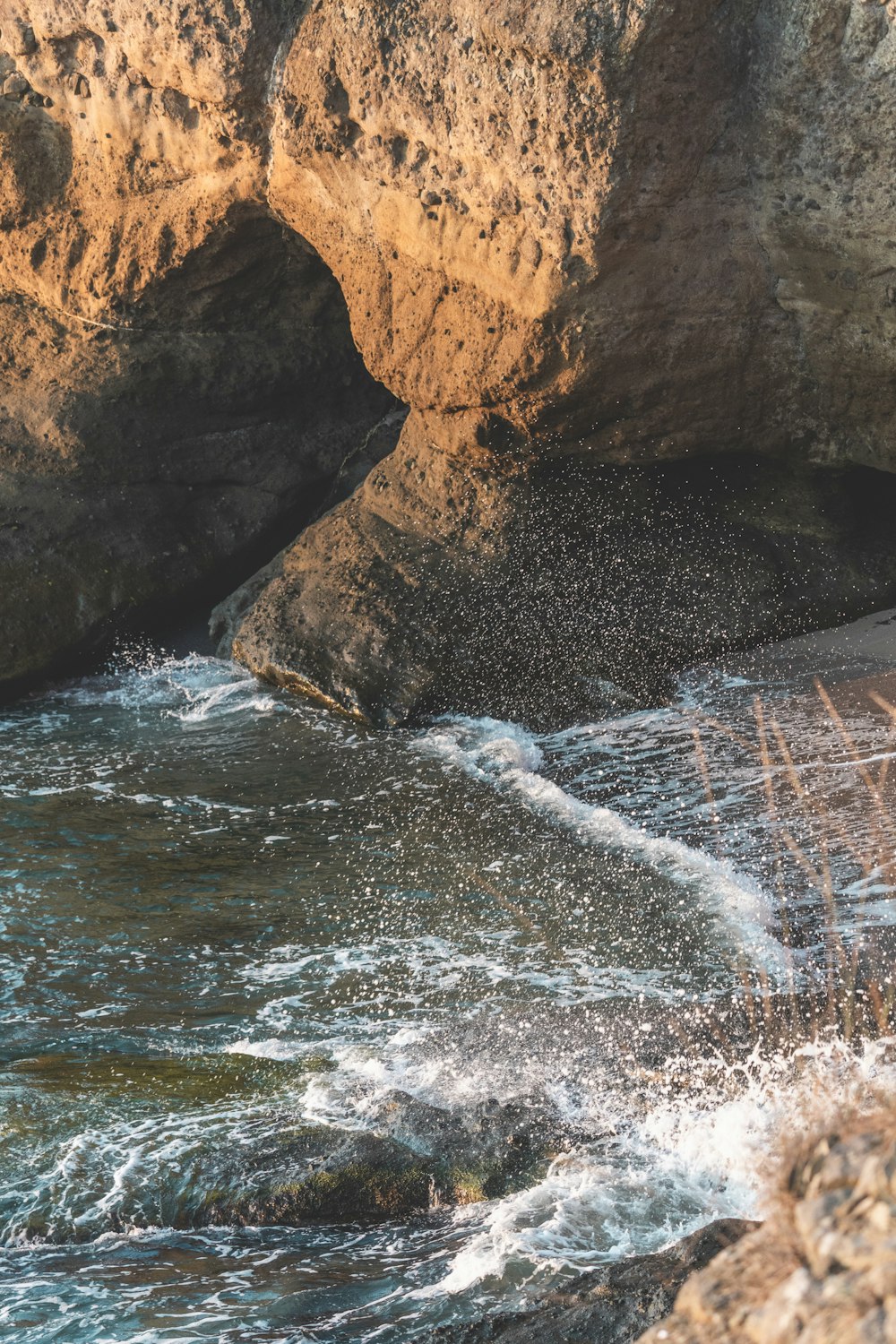 a bird sitting on a rock next to the ocean