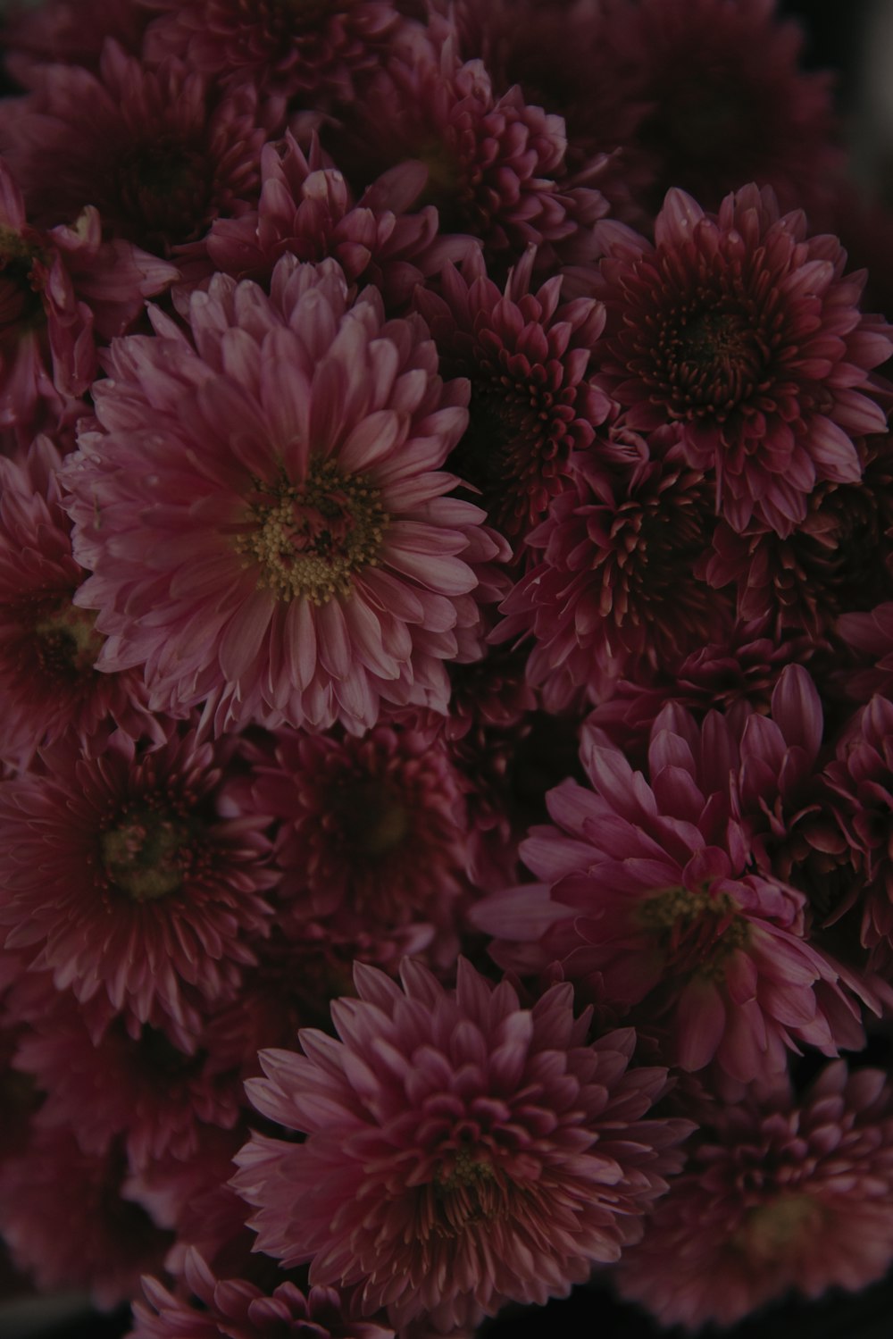 a bunch of pink flowers are in a vase