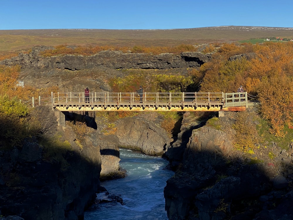 a bridge over a river with a person standing on it