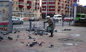 An elderly woman stands on a city sidewalk feeding a group of pigeons. She is wearing a coat and carrying a handbag. The background features apartment buildings with red balconies, parked cars, and a green bus driving on the street. Nearby, there is a worn advertisement and several puddles on the pavement.