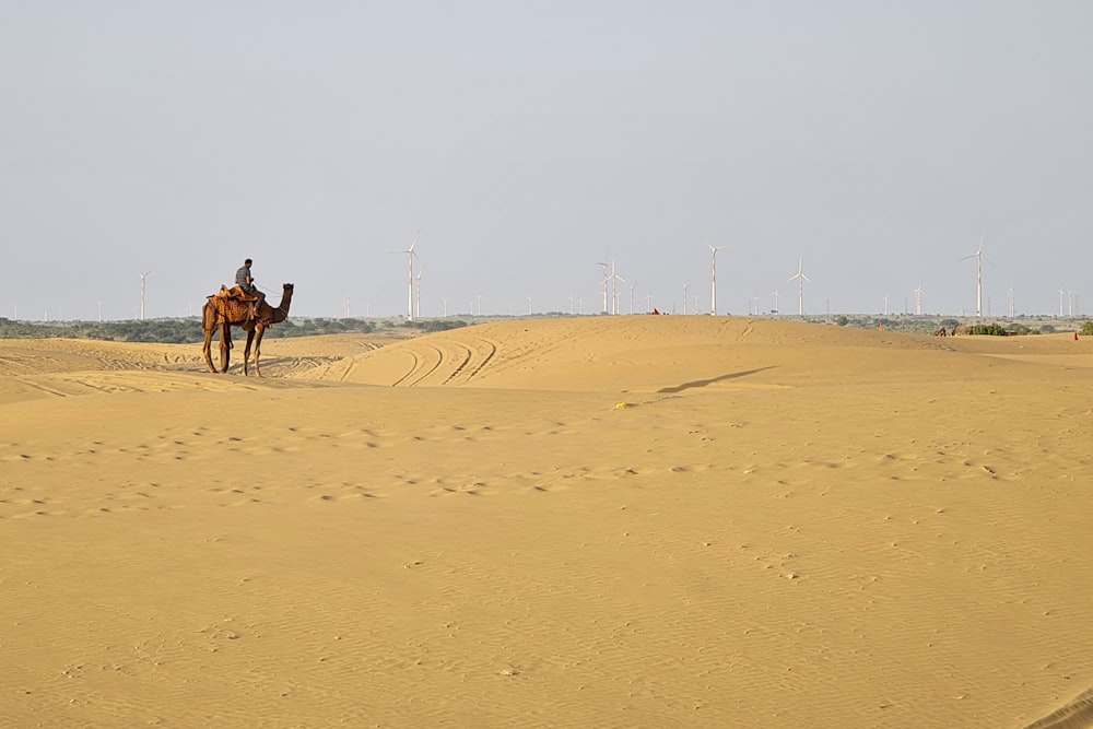 a man riding a camel in the desert