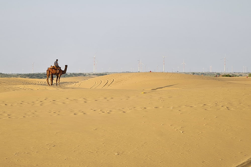 um homem montando um camelo no deserto