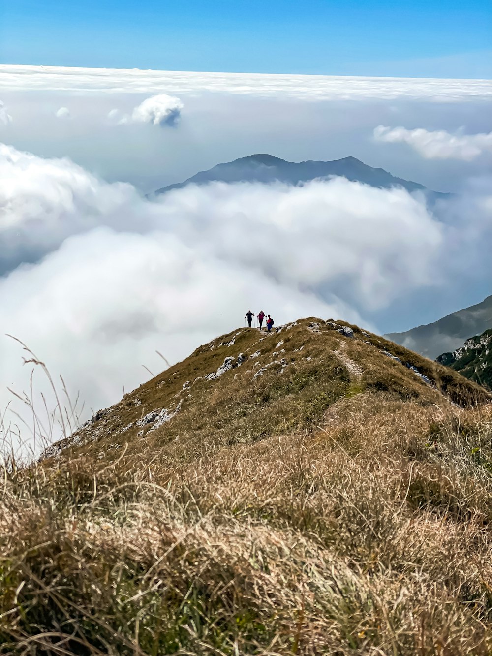 a group of people standing on top of a grass covered hill