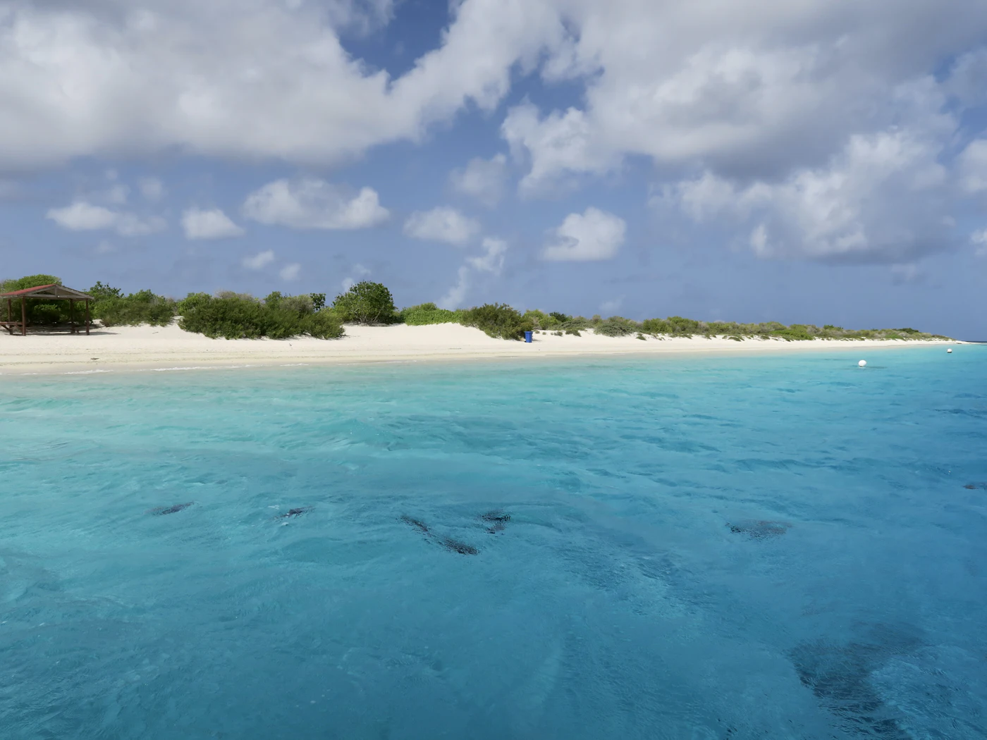 White-sand shore and clear turquoise water at Klein Bonaire
