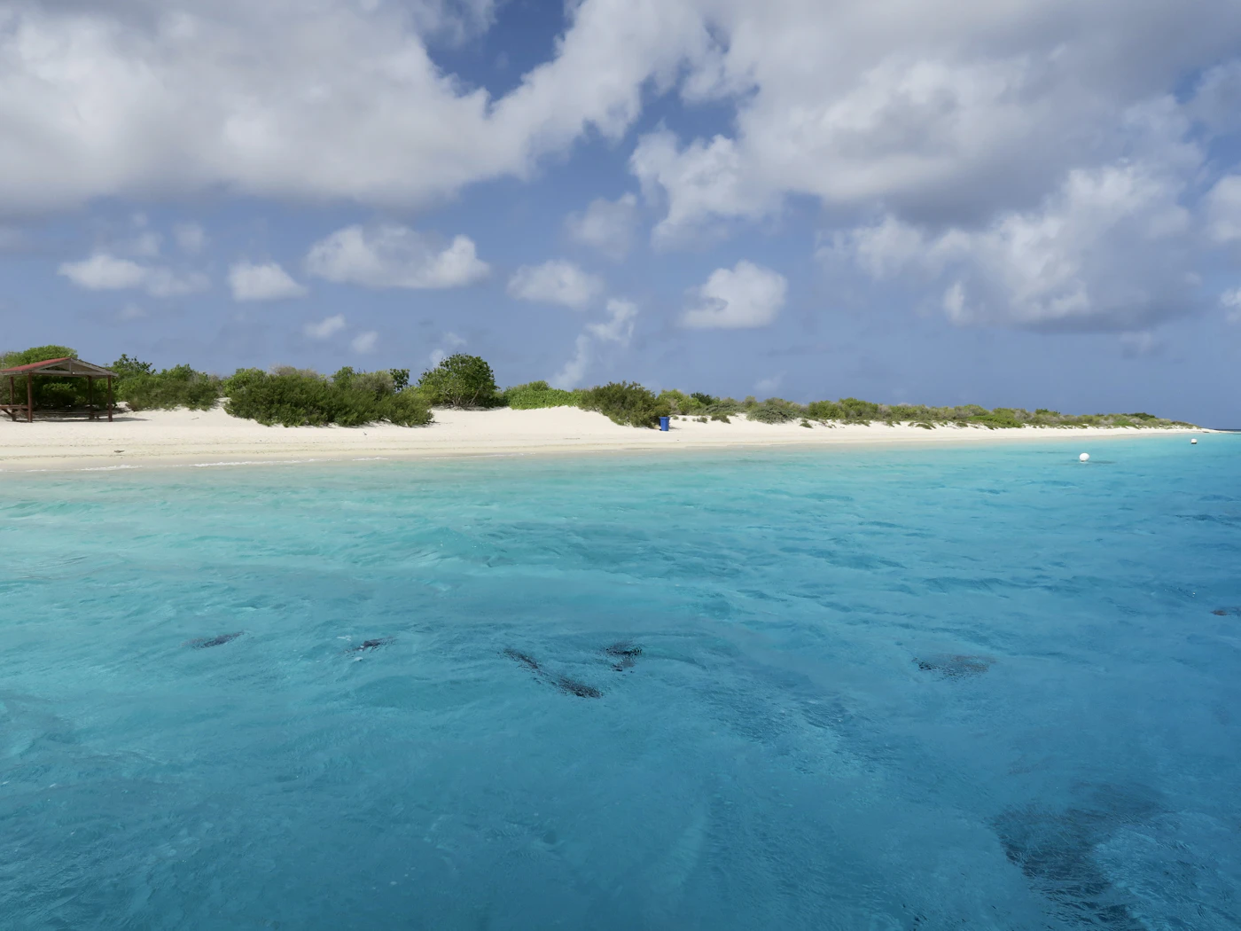 Aguas cristalinas y arrecife frente a la costa de Bonaire, paraíso del buceo en el Caribe Sur