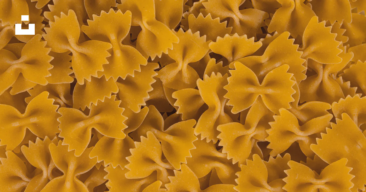 A close up of a bunch of pasta shells photo – Free Food Image on Unsplash