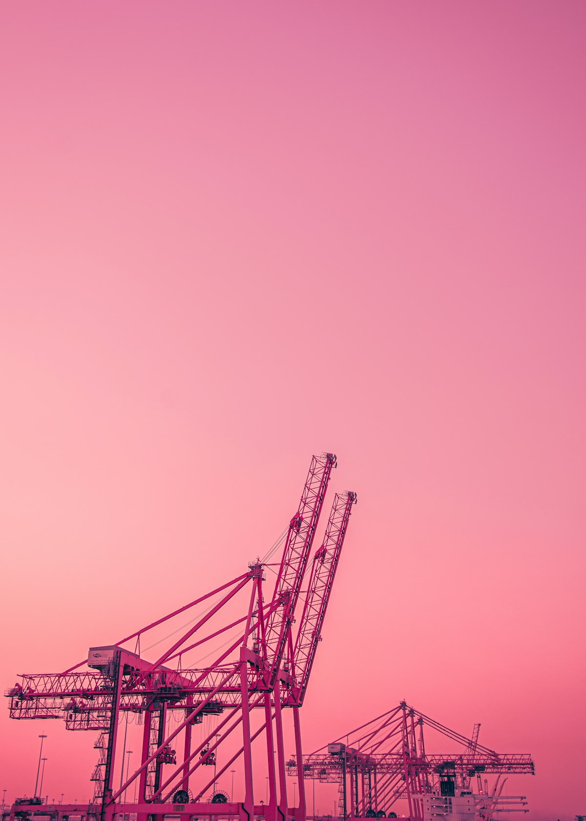 MSC Halts All Middle East Bookings Worldwide as Gulf Security Deteriorates