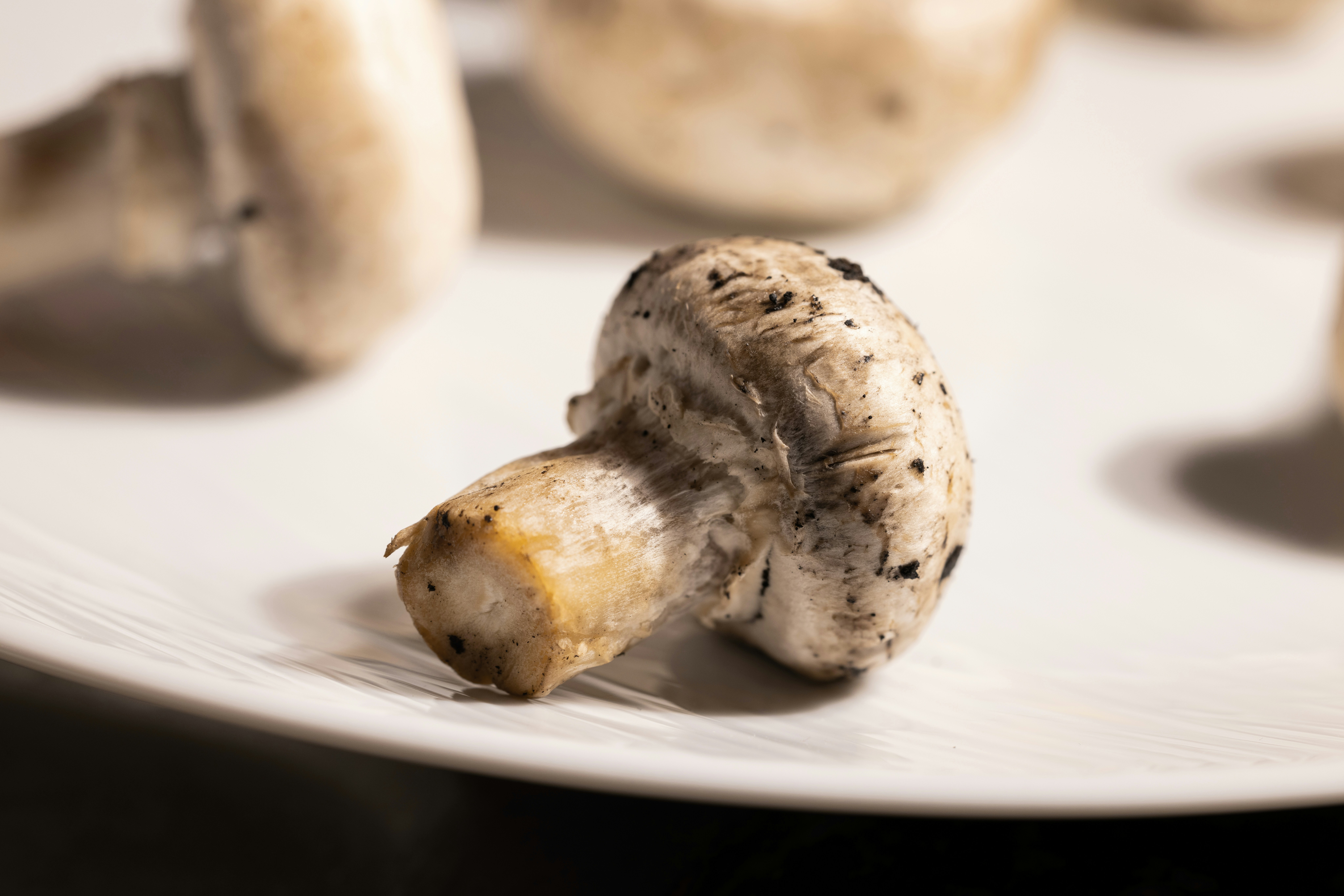 Photo by enginakyurt