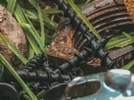Close-up of several black screws lying on green grass and next to a rusted metal washer. Some stones are visible amidst the greenery, adding a natural texture to the scene.