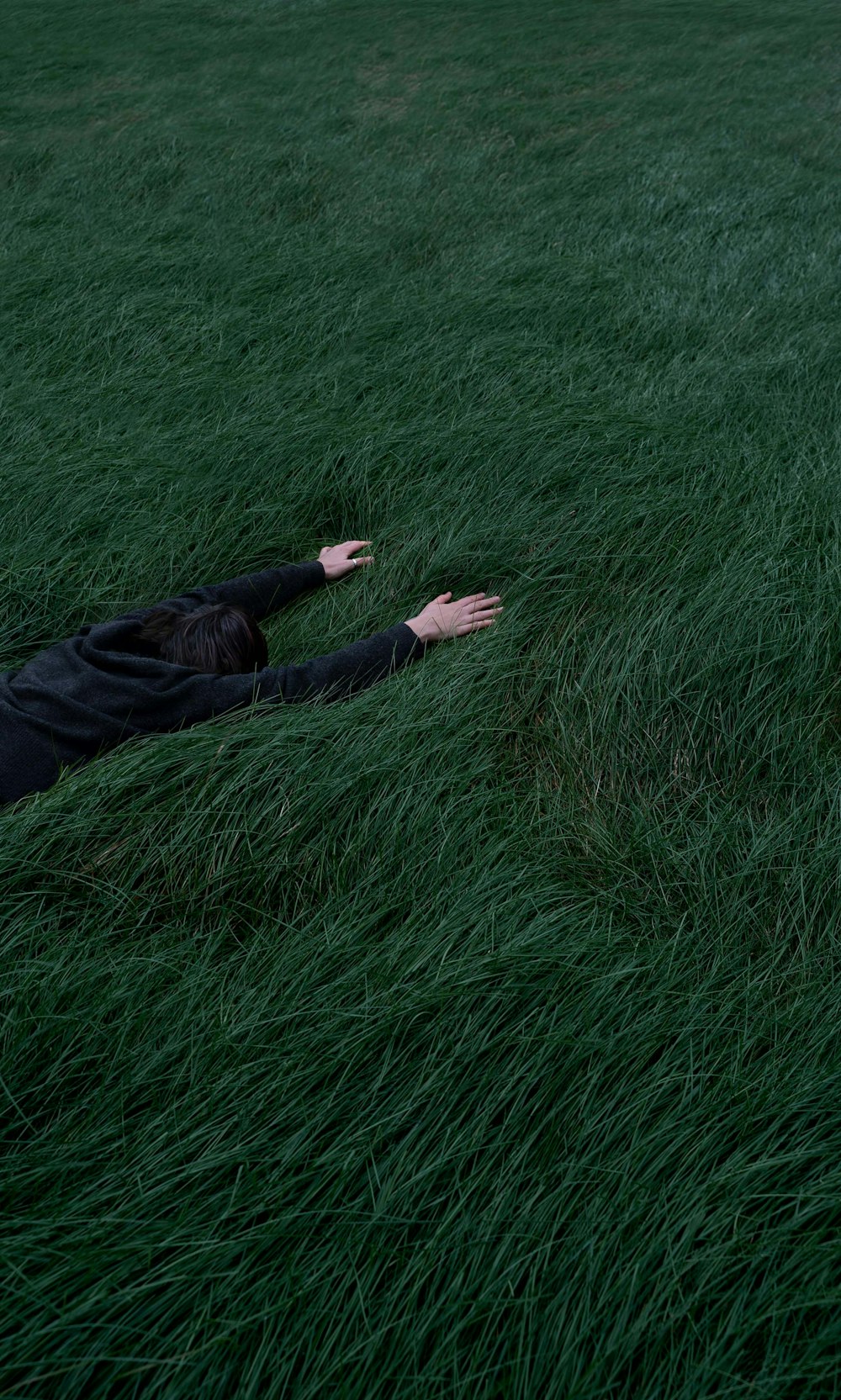 a person laying in a field of grass