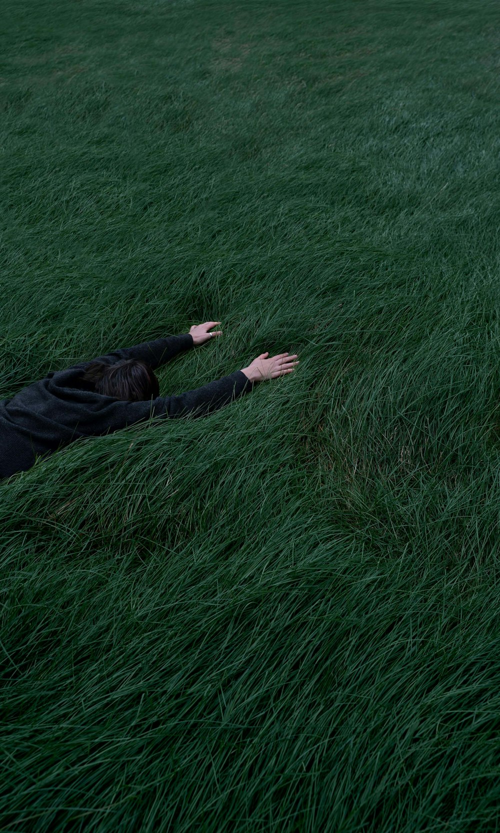 uma pessoa deitada em um campo de grama