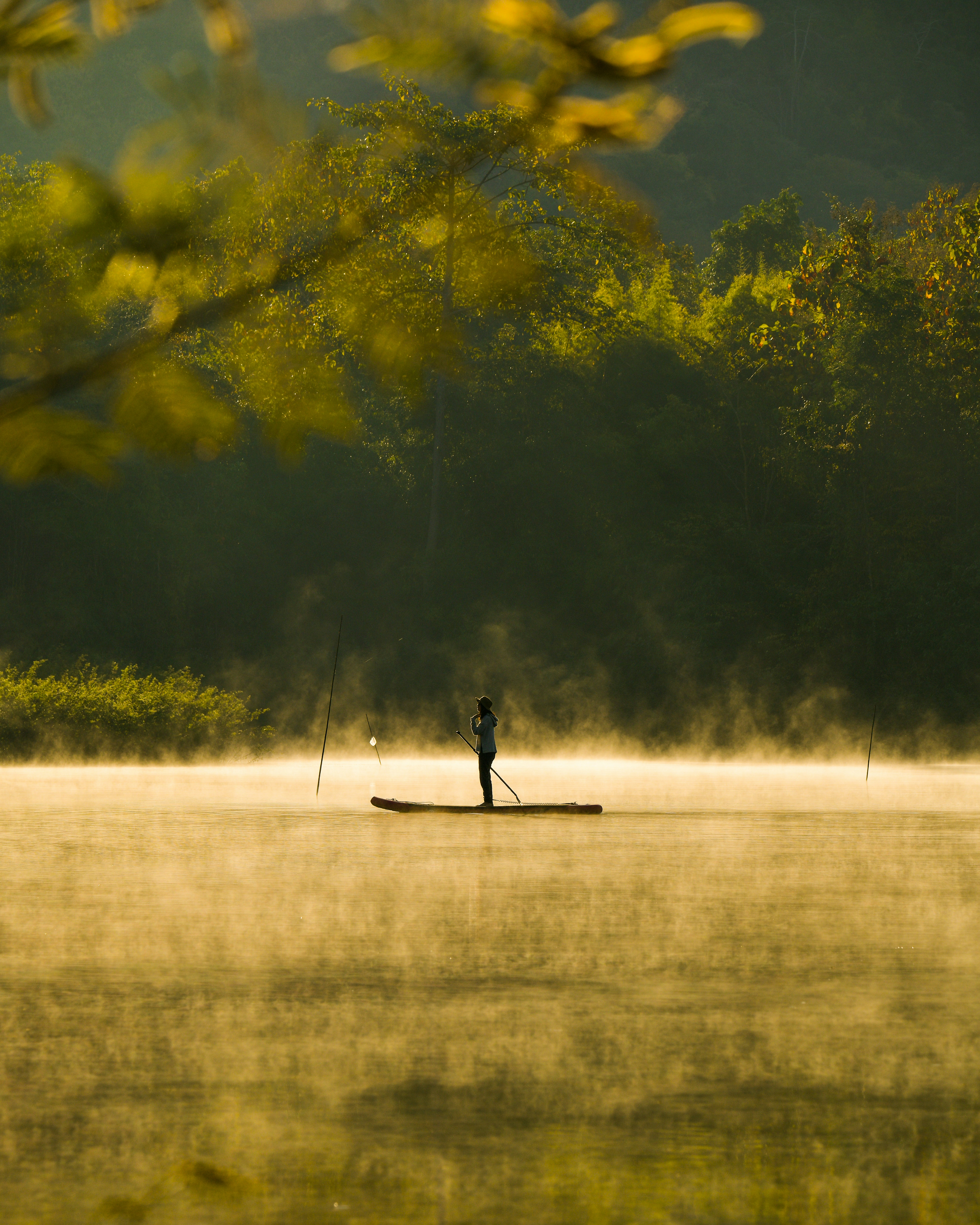 Person standing on SUP paddleboard on calm lake, misty morning, forest reflection in water