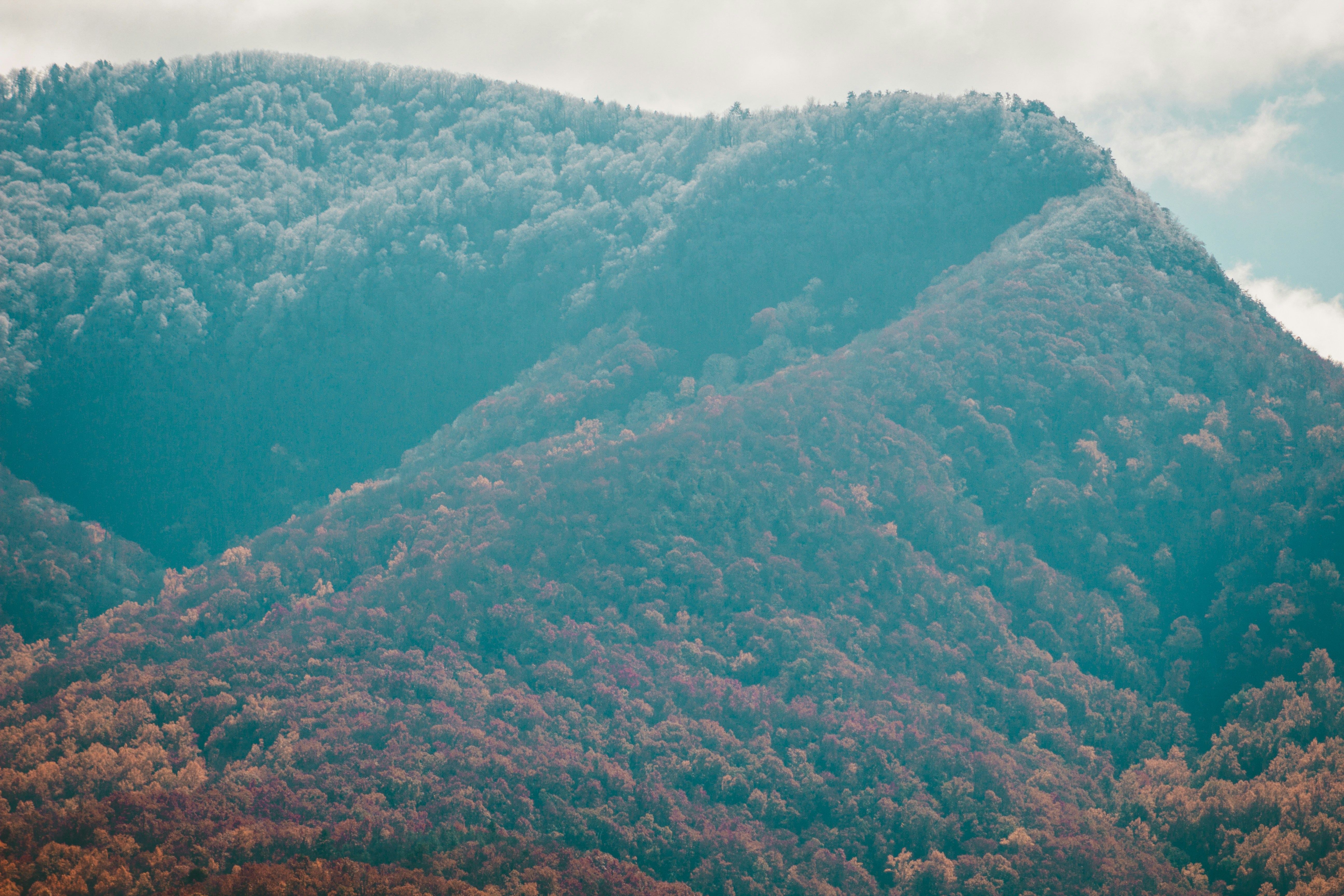 Photo by fosterious