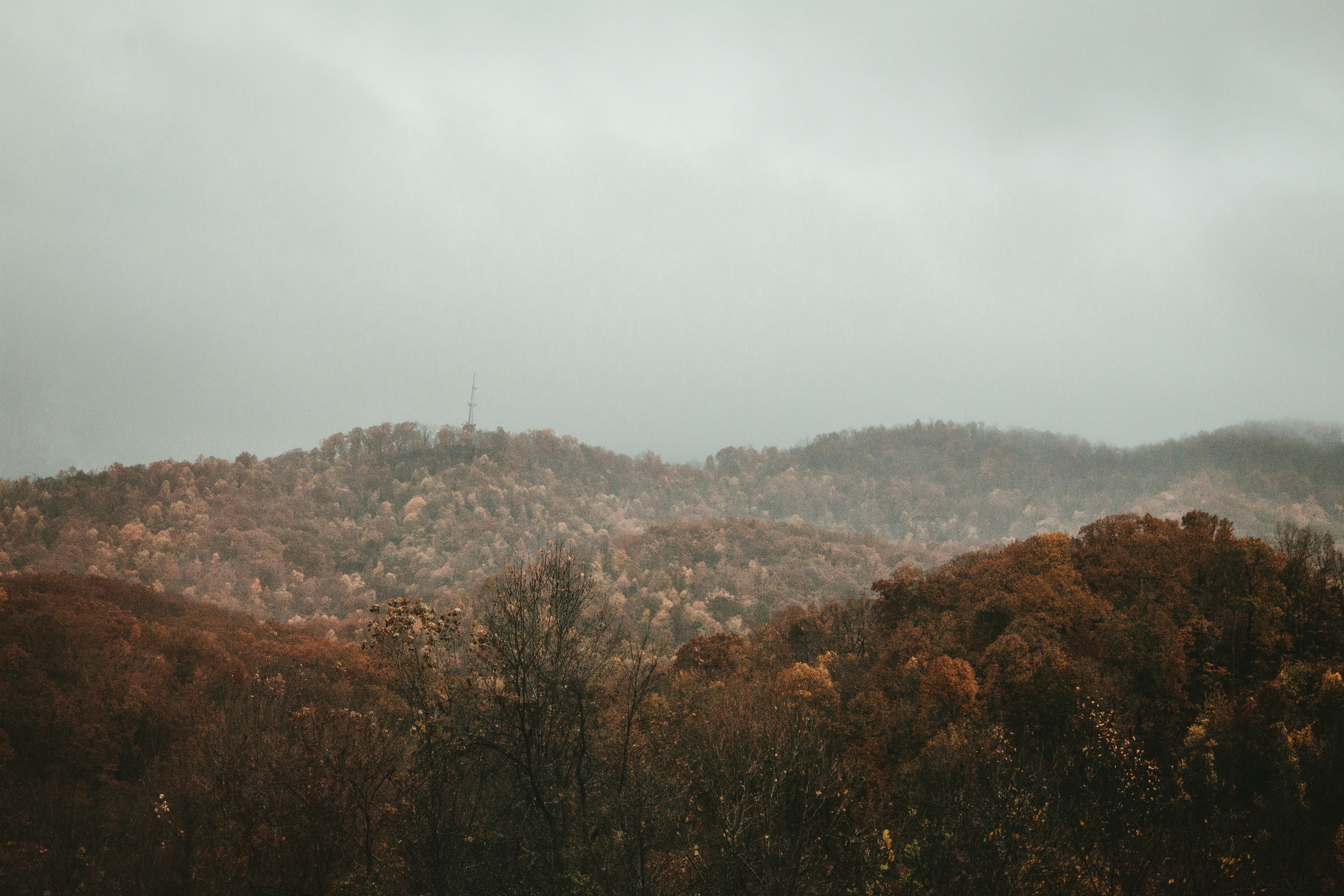 Photo by fosterious