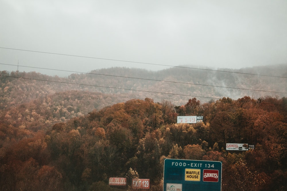 Une journée brumeuse dans les montagnes avec des arbres et des panneaux