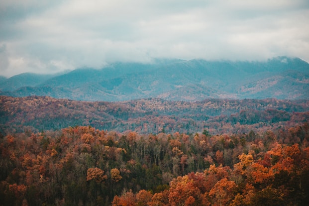 a scenic view of a mountain range with trees in the foreground