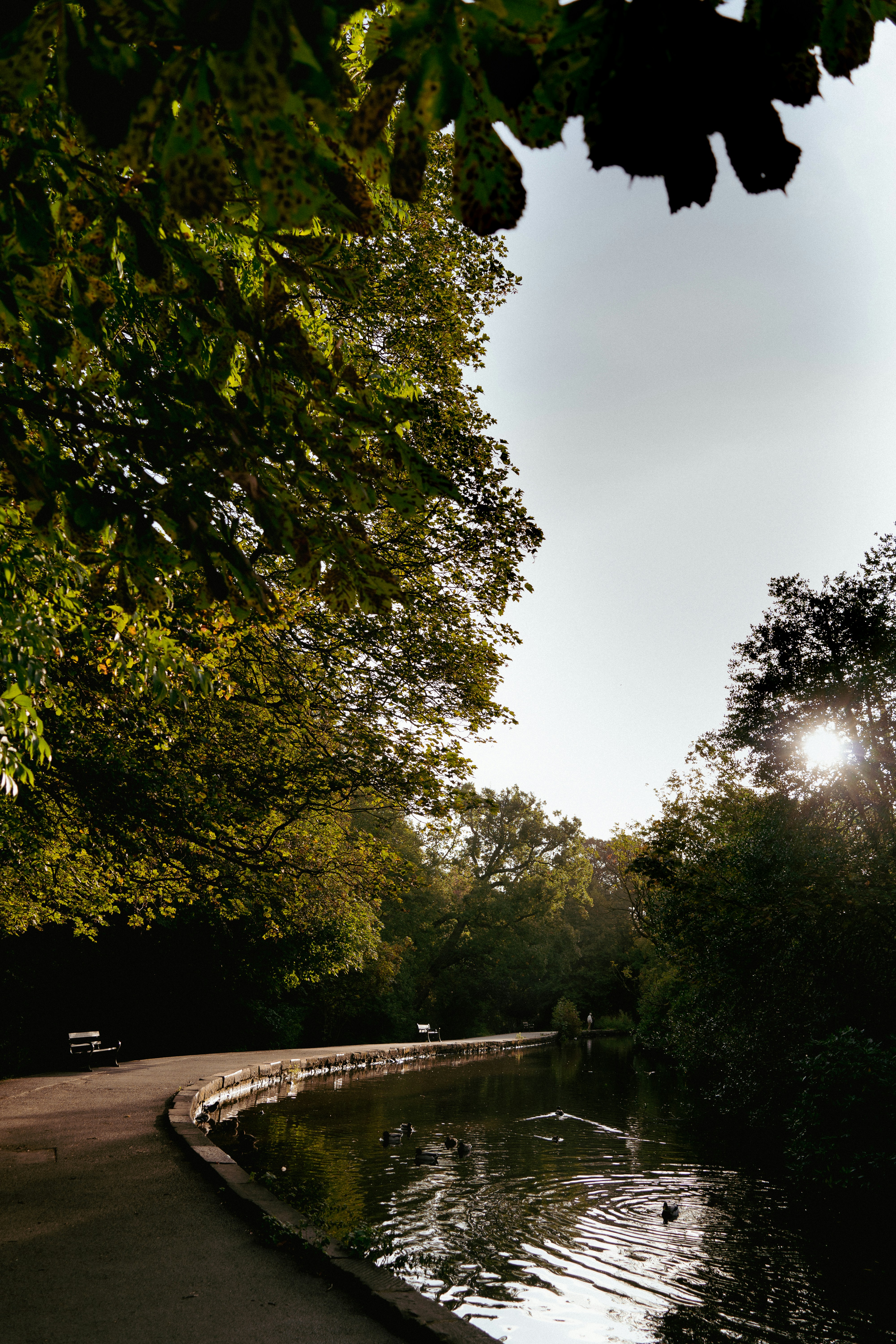 Photo by benjaminelliott