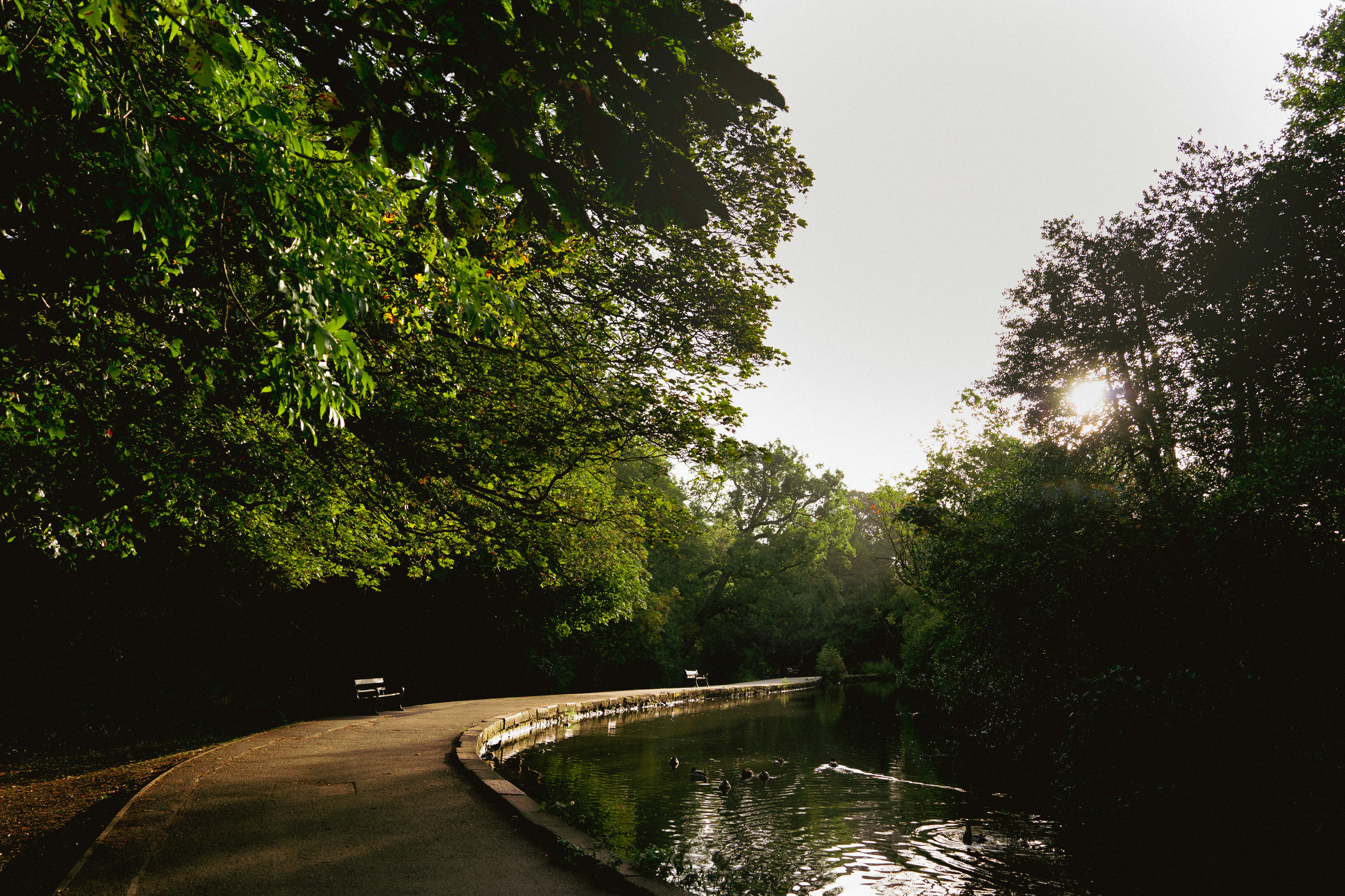 Photo by benjaminelliott