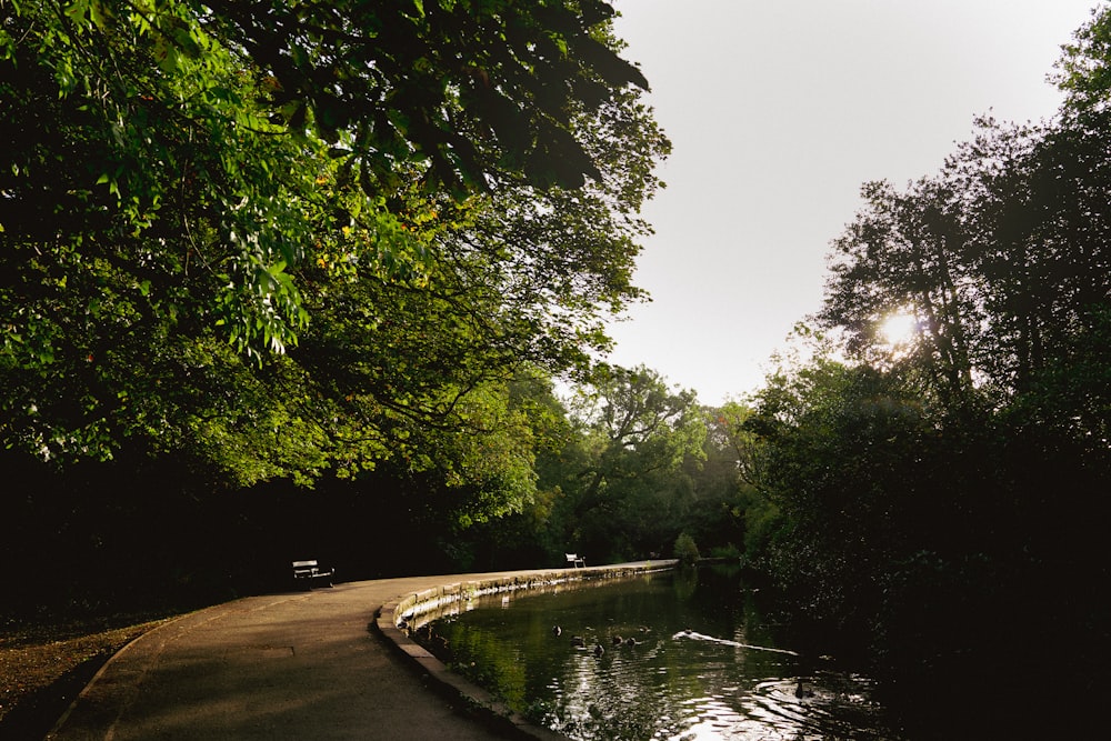 a paved path next to a body of water