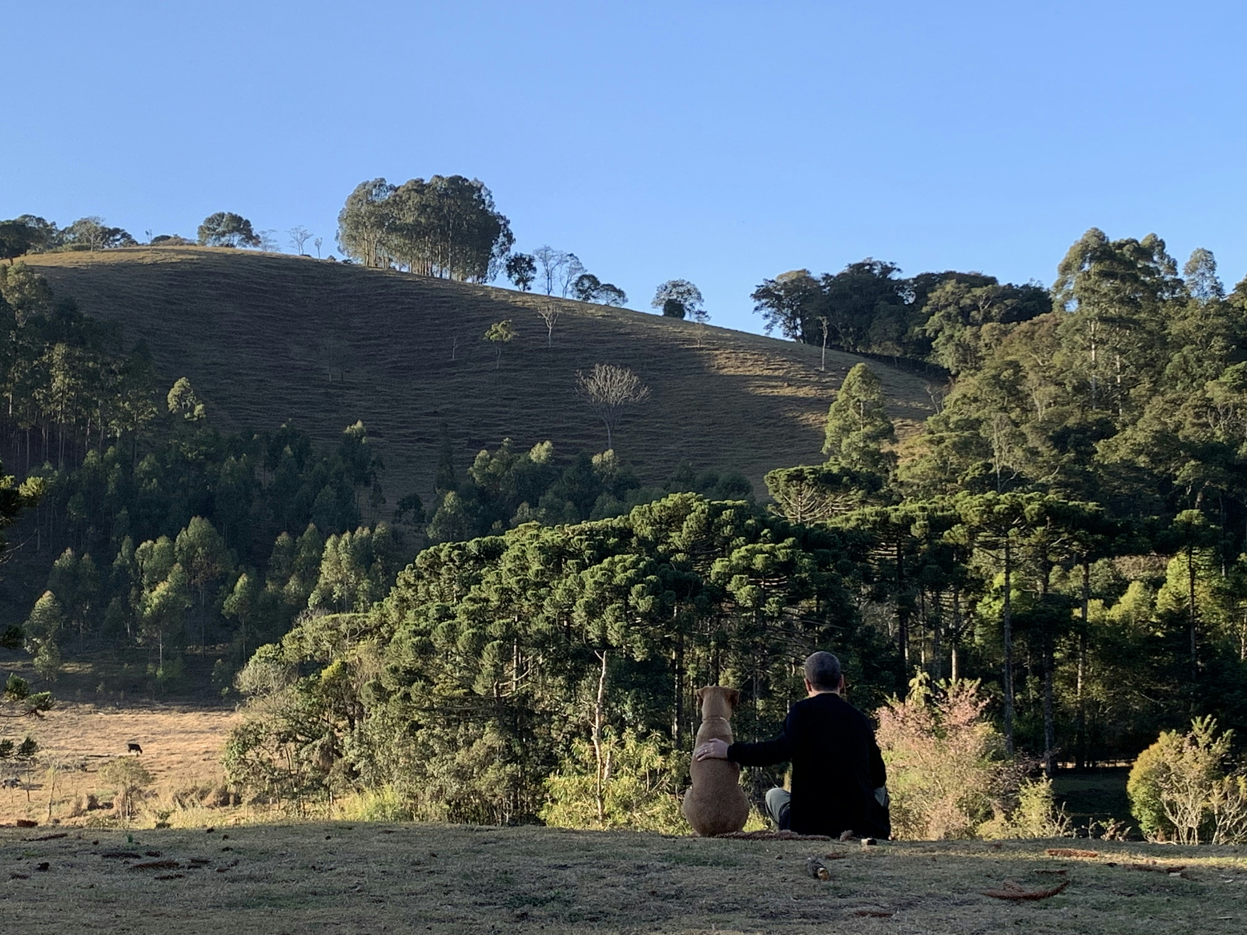 a man sitting on top of a hill next to a forest