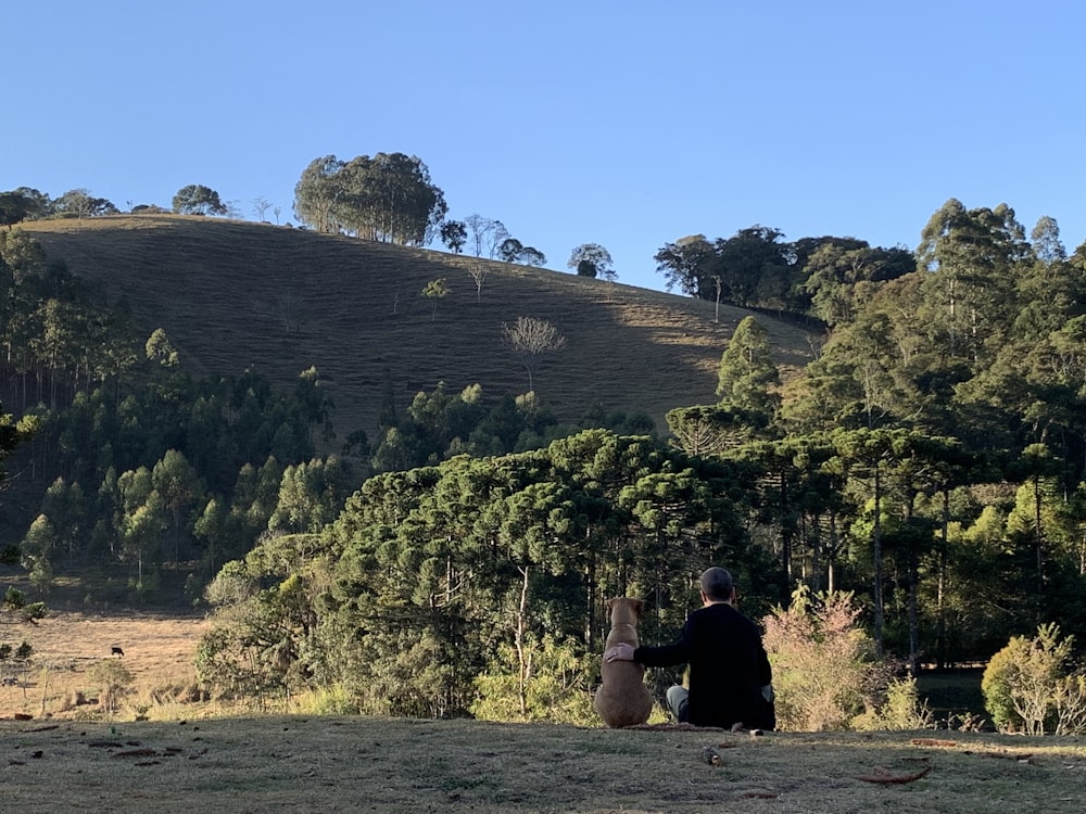 a man sitting on top of a hill next to a forest