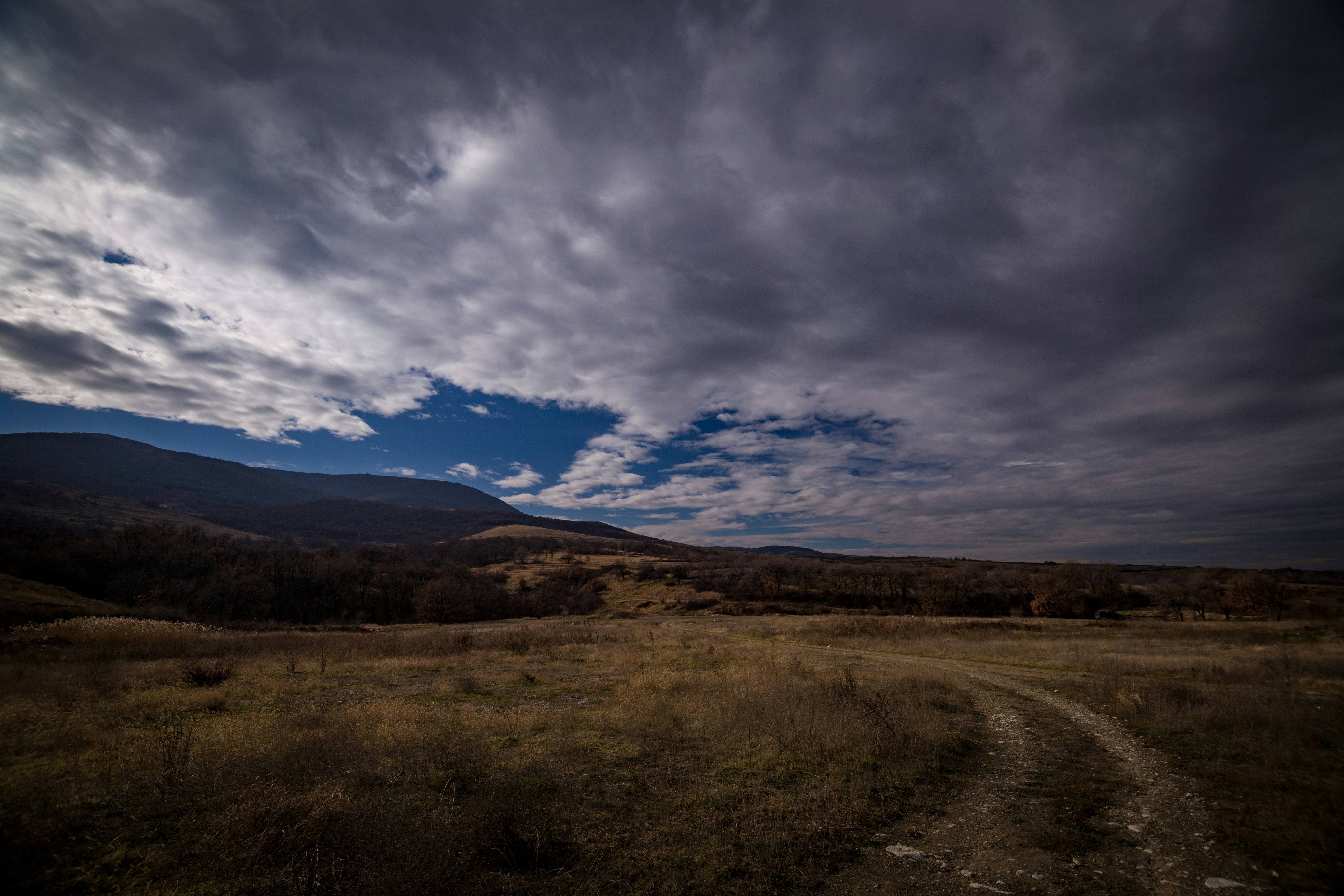 Photo by blooddrainer