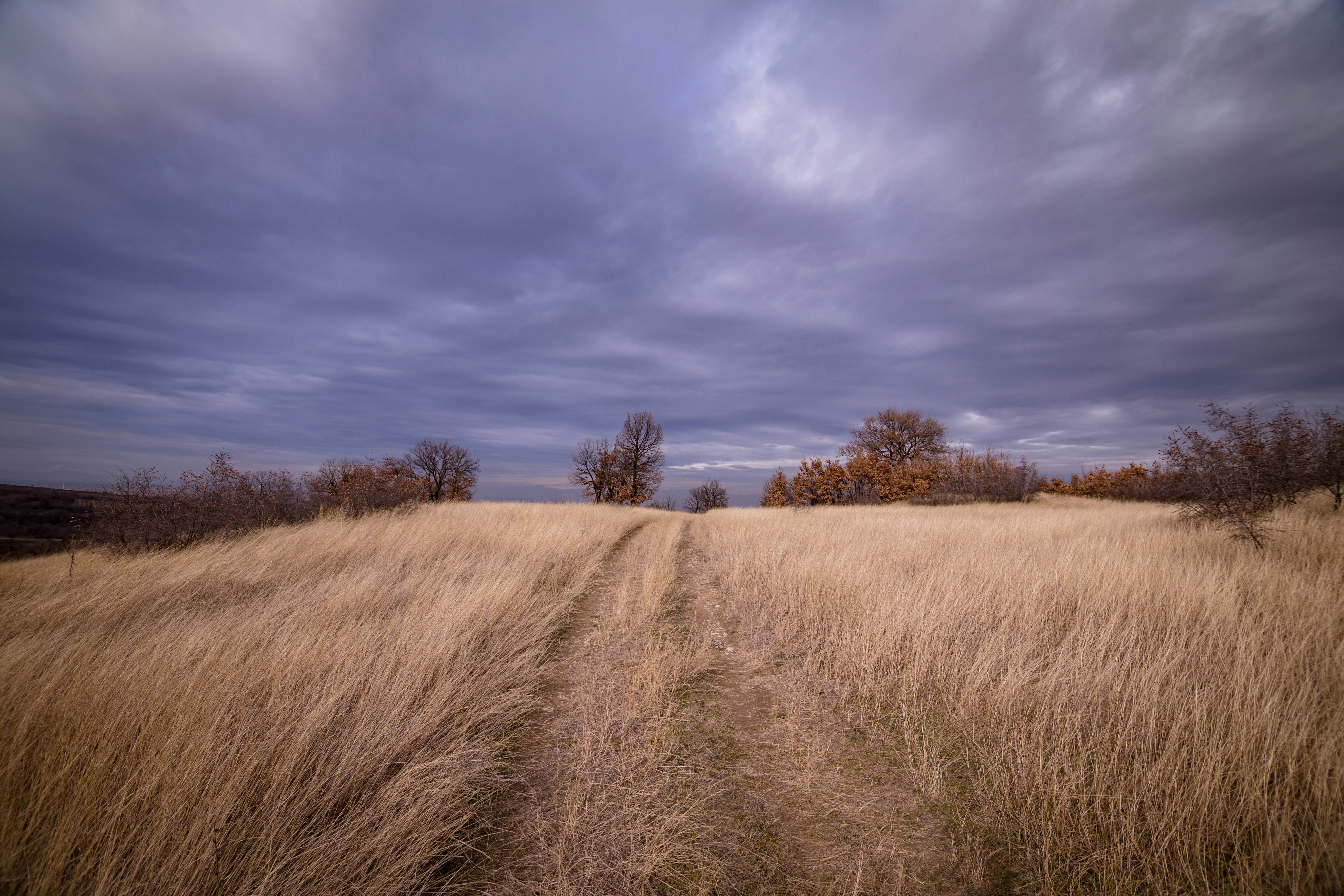 Photo by blooddrainer