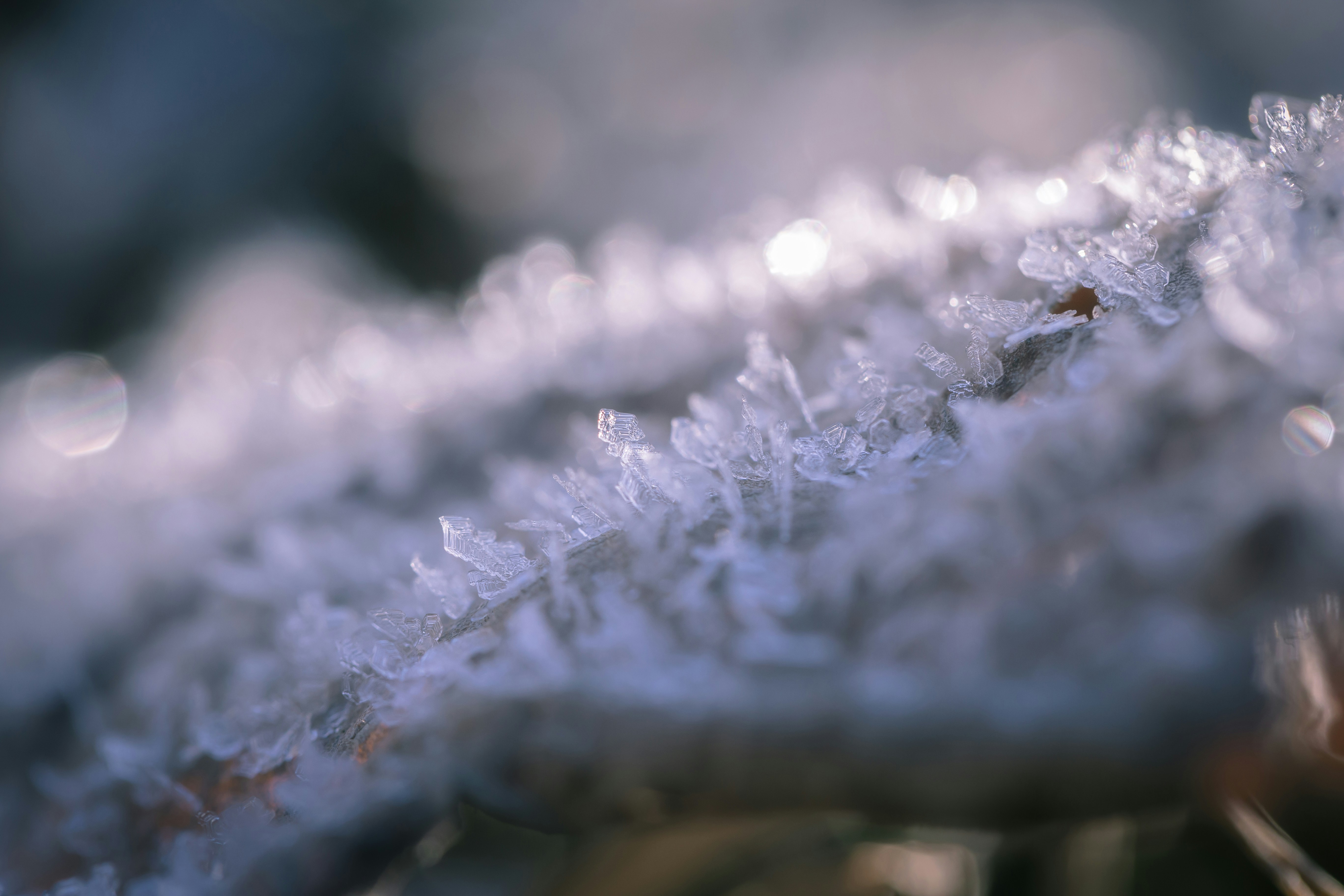 Photo by blooddrainer