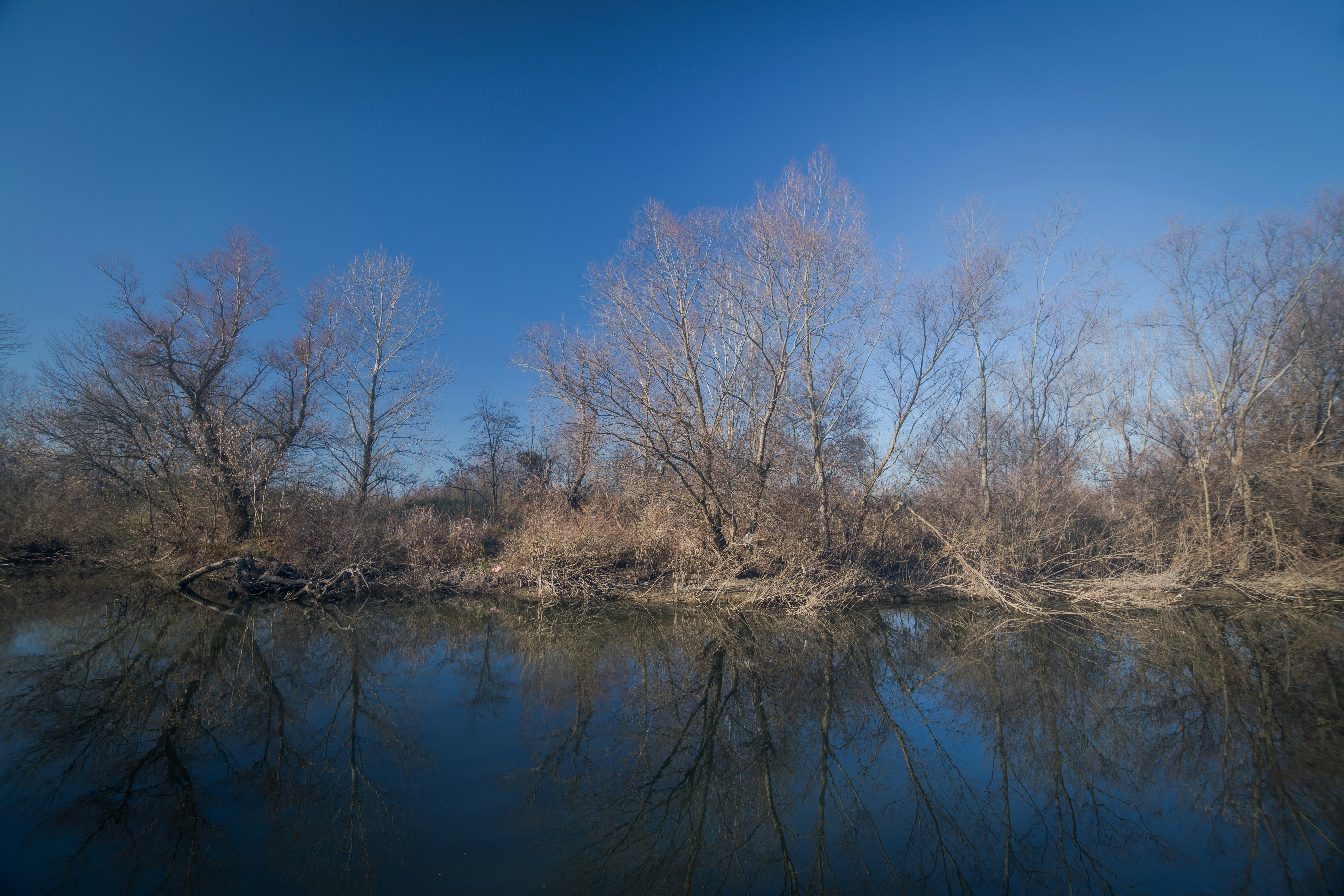 Photo by blooddrainer