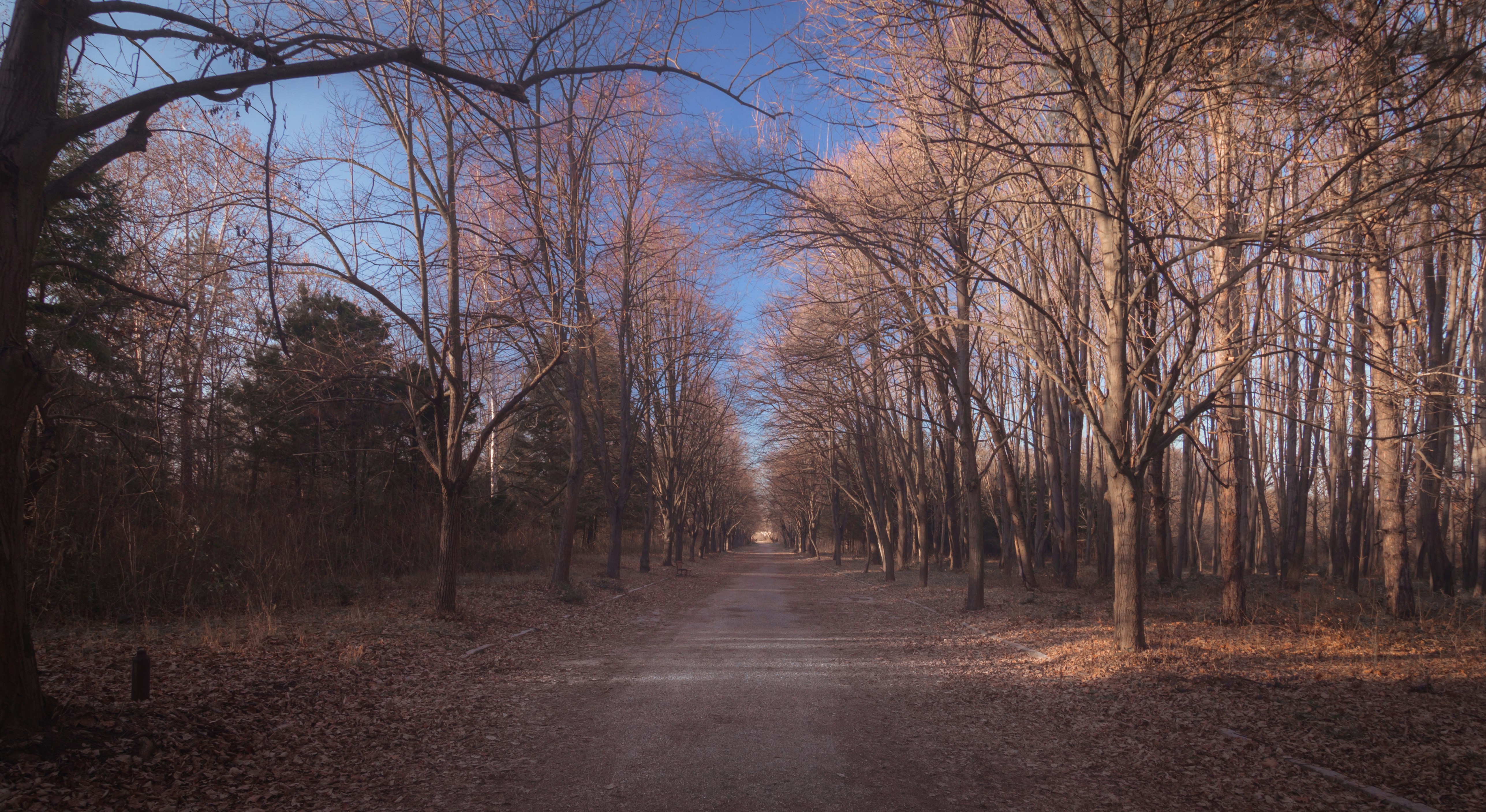 Photo by blooddrainer