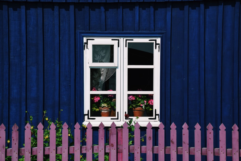 a blue house with a pink picket fence