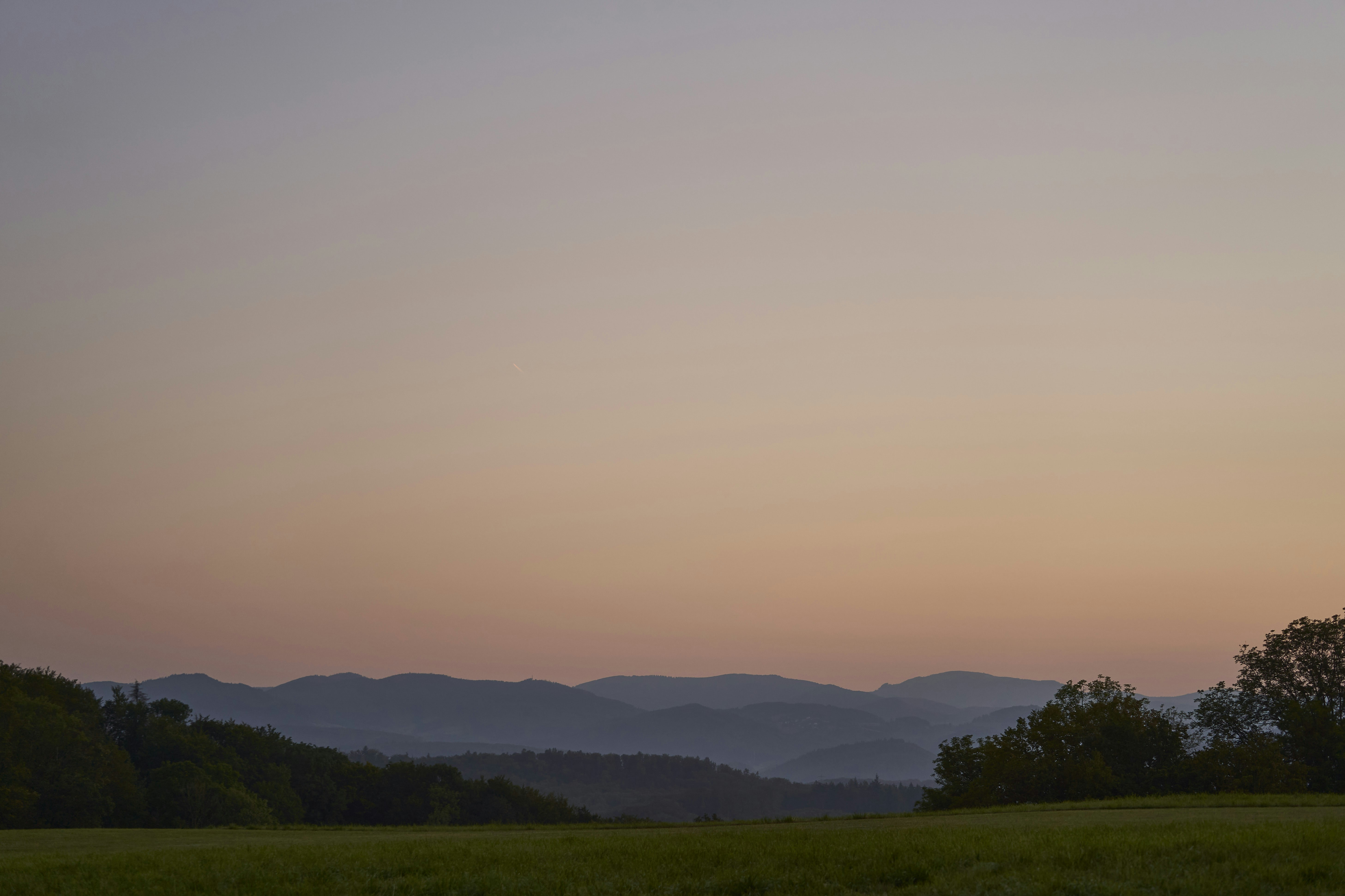 Photo by wolfgang_hasselmann