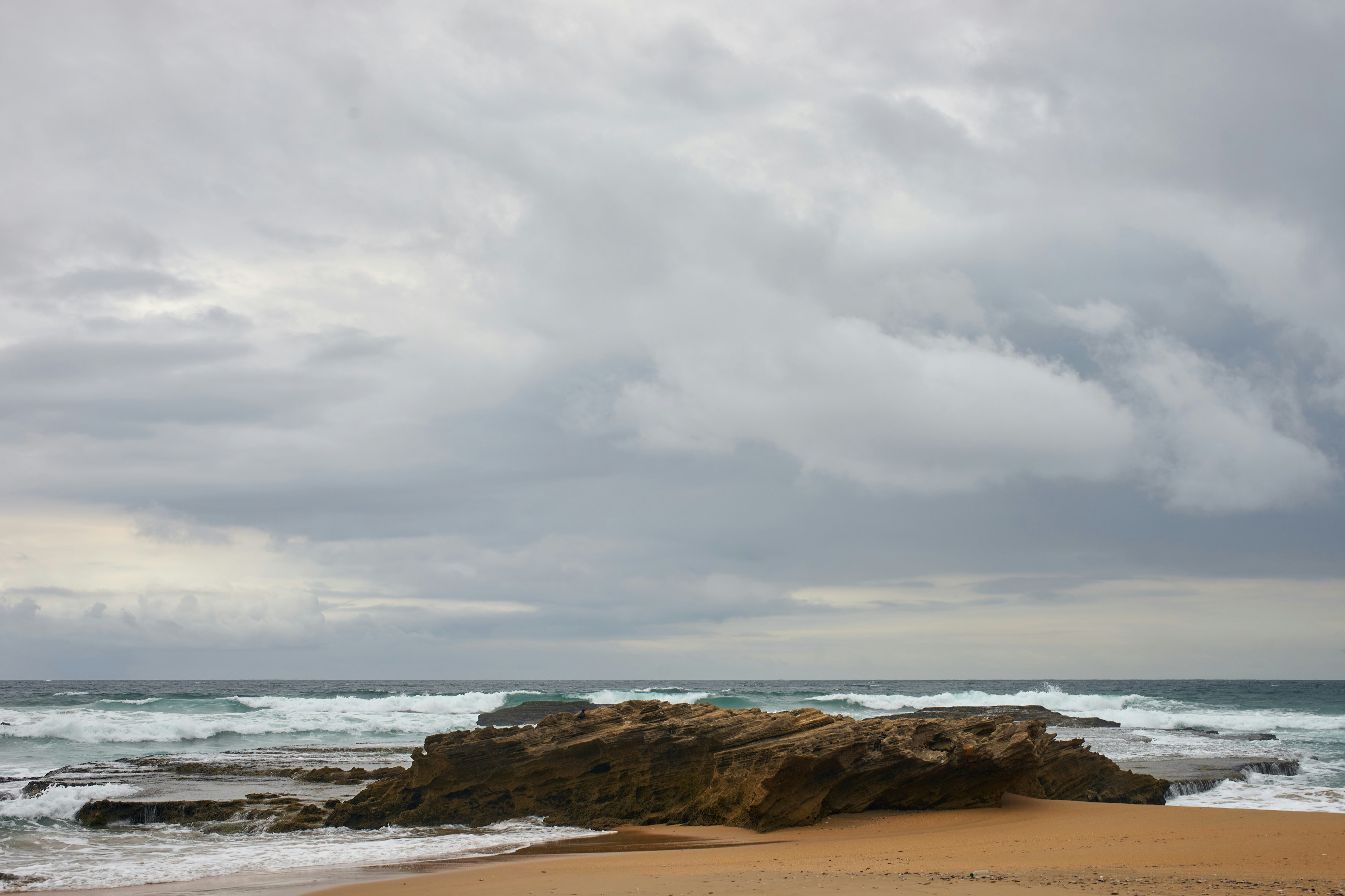 Photo by wolfgang_hasselmann