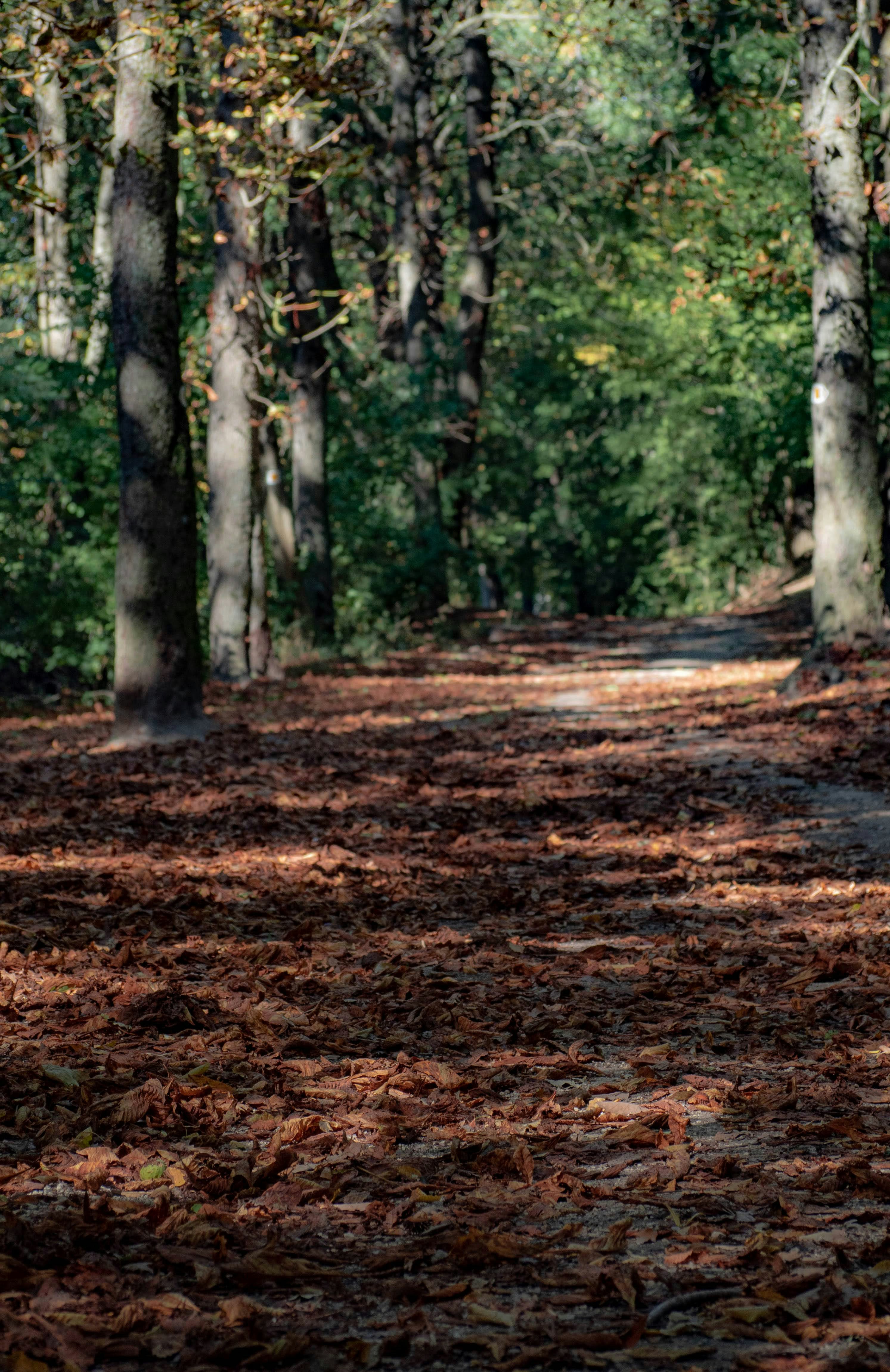 Photo by sarahs_captured_moments